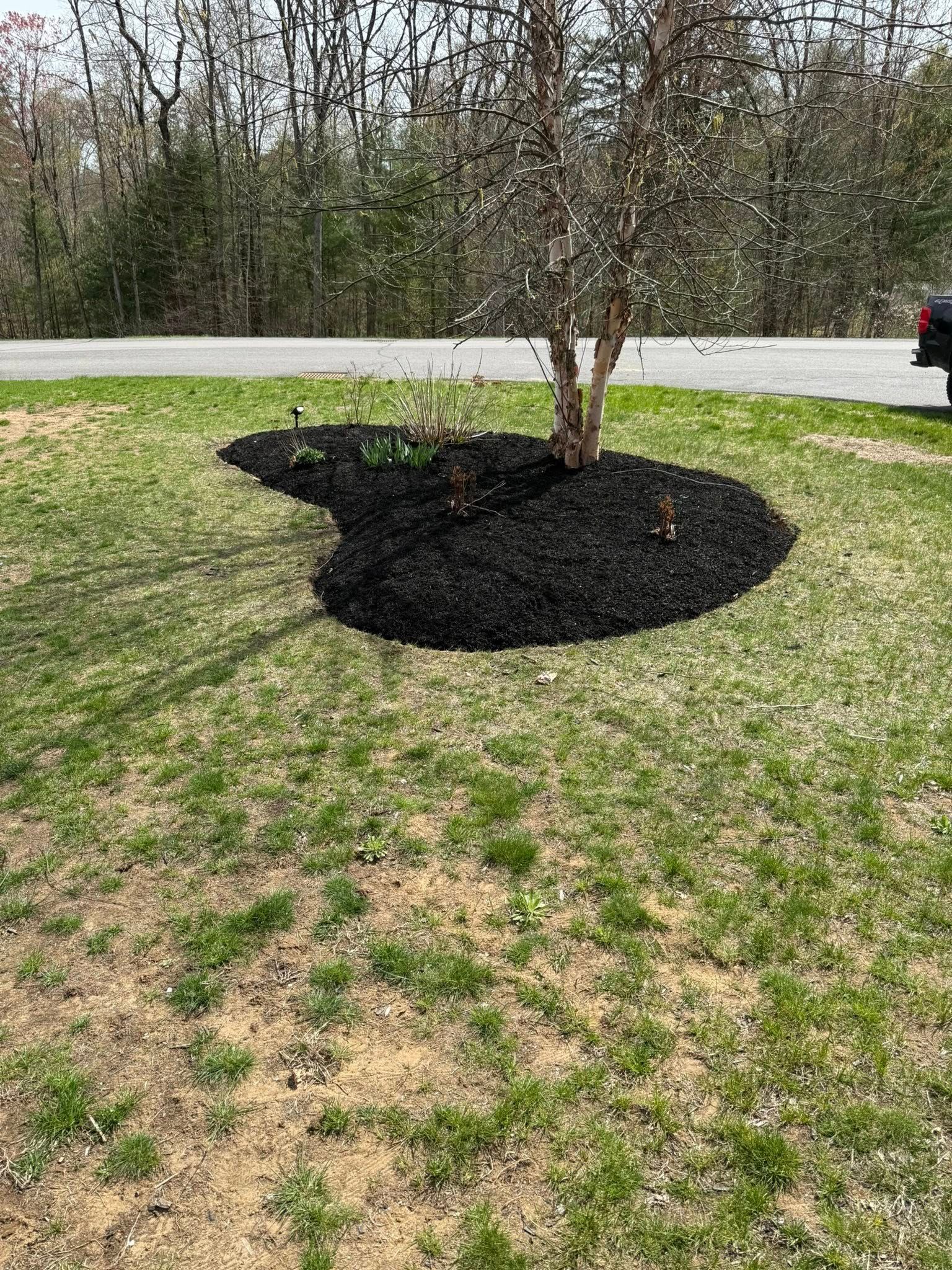  for Katinas Properties Maintenance in Albany, NY