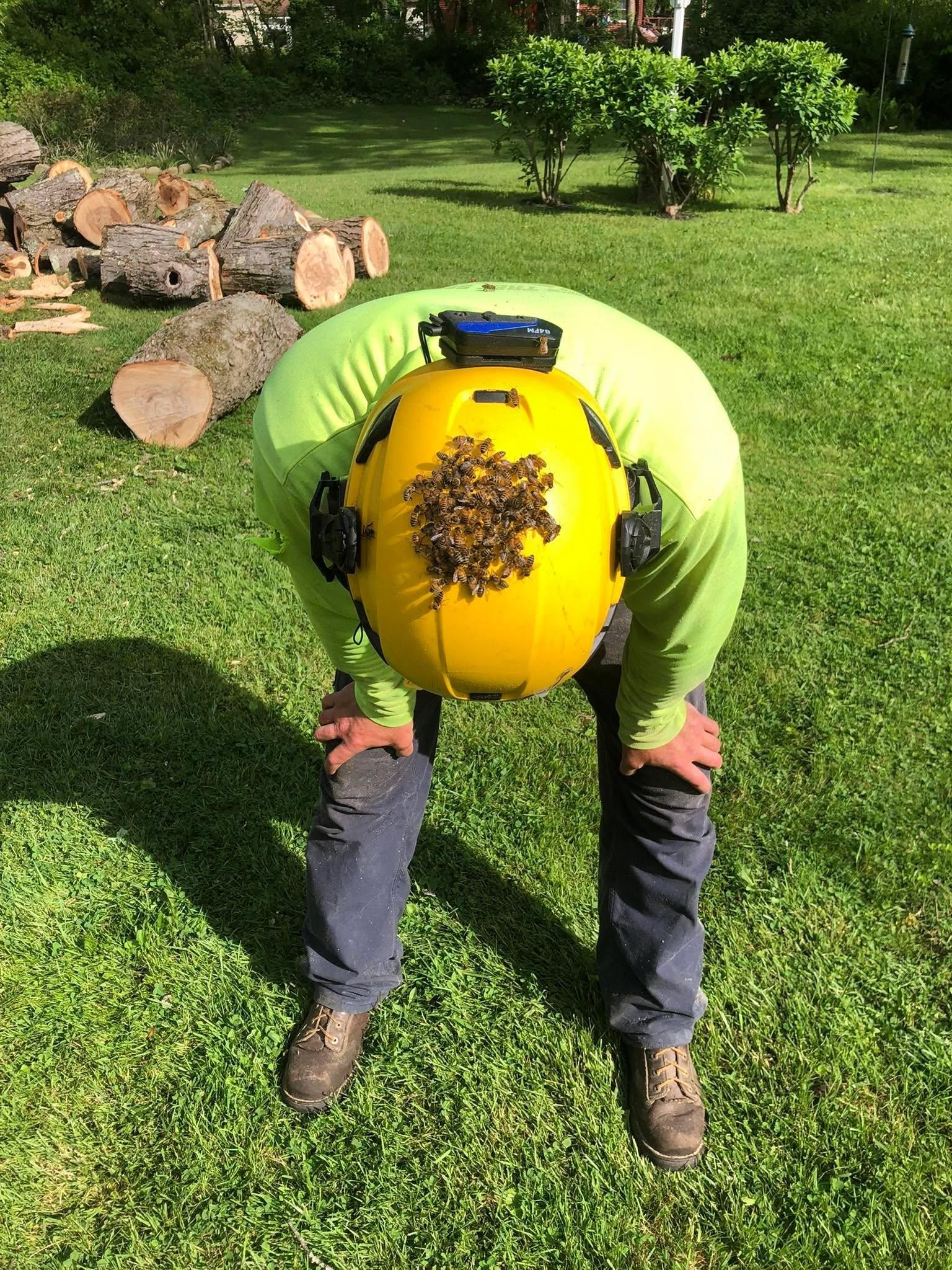  for Mad Tree Service in Cochranton, PA