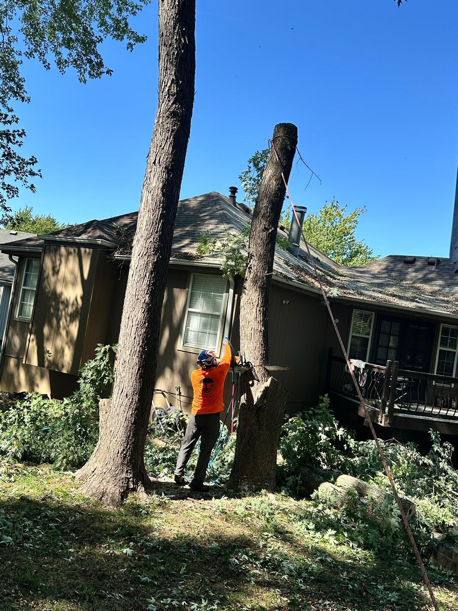 All Photos for Cross Family Tree Service in Kearney, MO