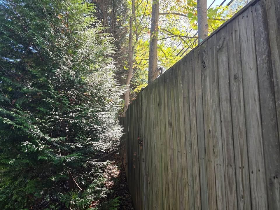  for W D Giampa Lawns and Landscape Inc. in Manassas, VA