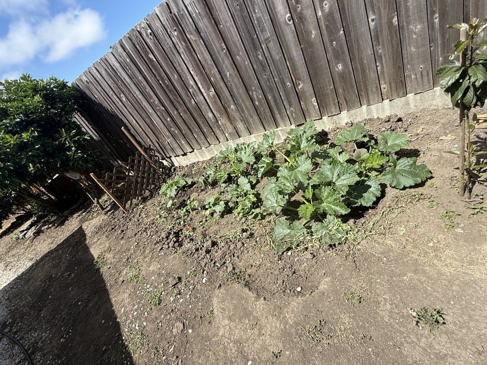  for CBA Landscaping in Hayward, CA