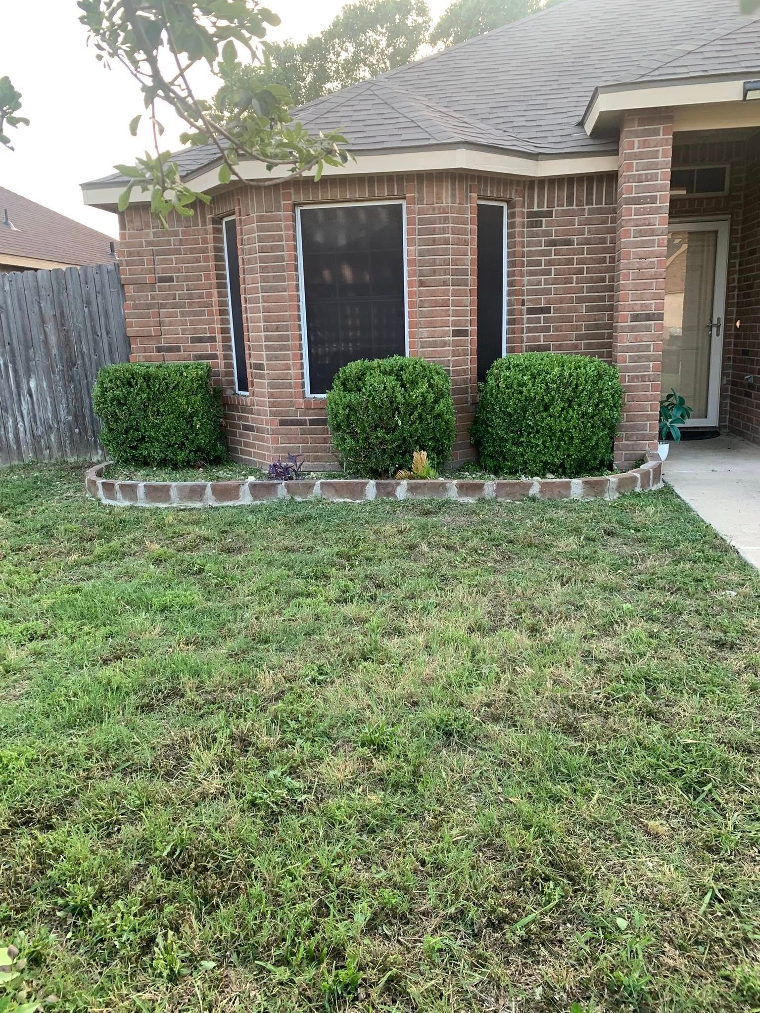Our Past Work for Father & Son Lawn Care in Harker Heights, TX