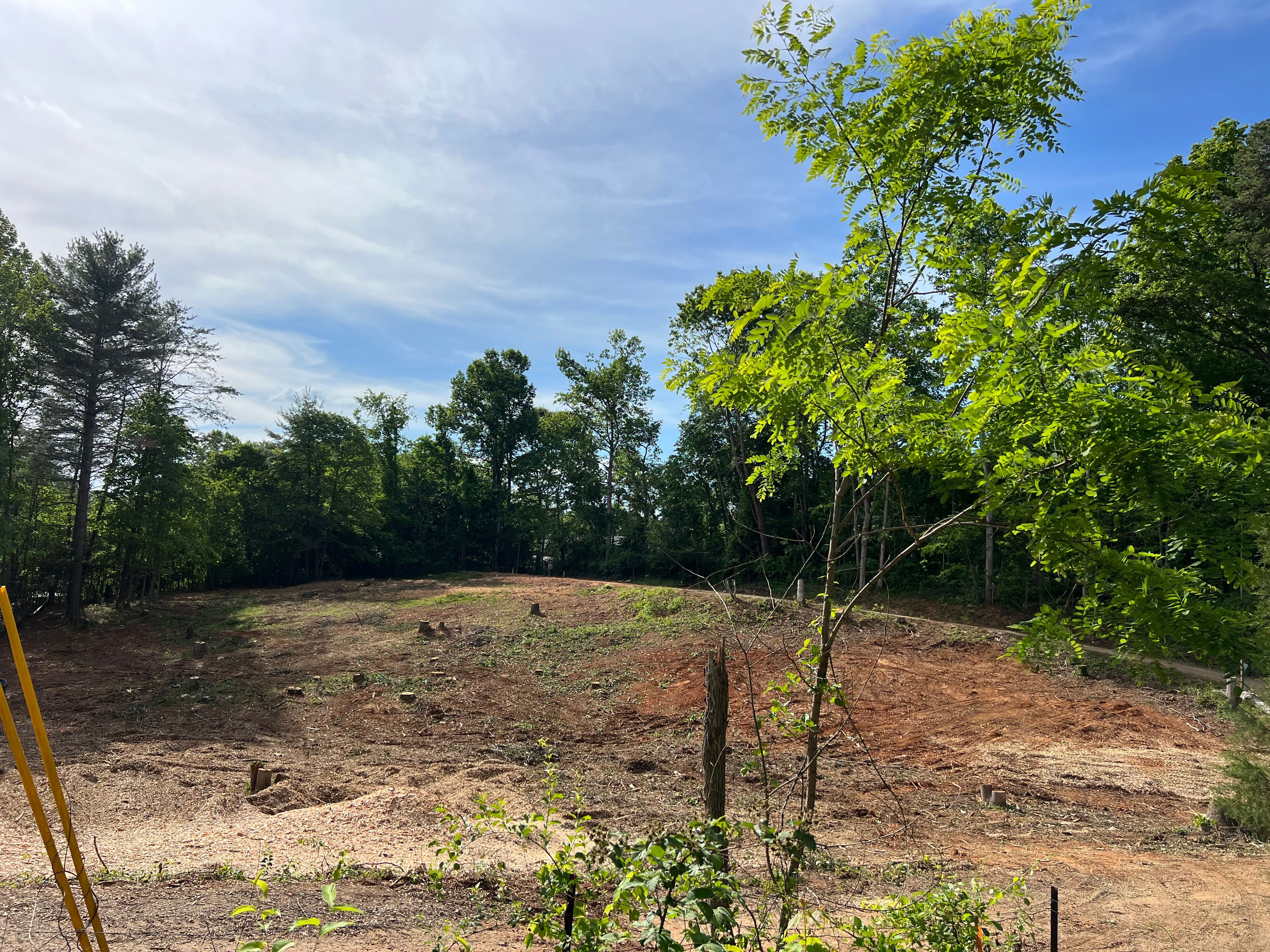  for Ground To Sky Tree Care in Asheville, North Carolina