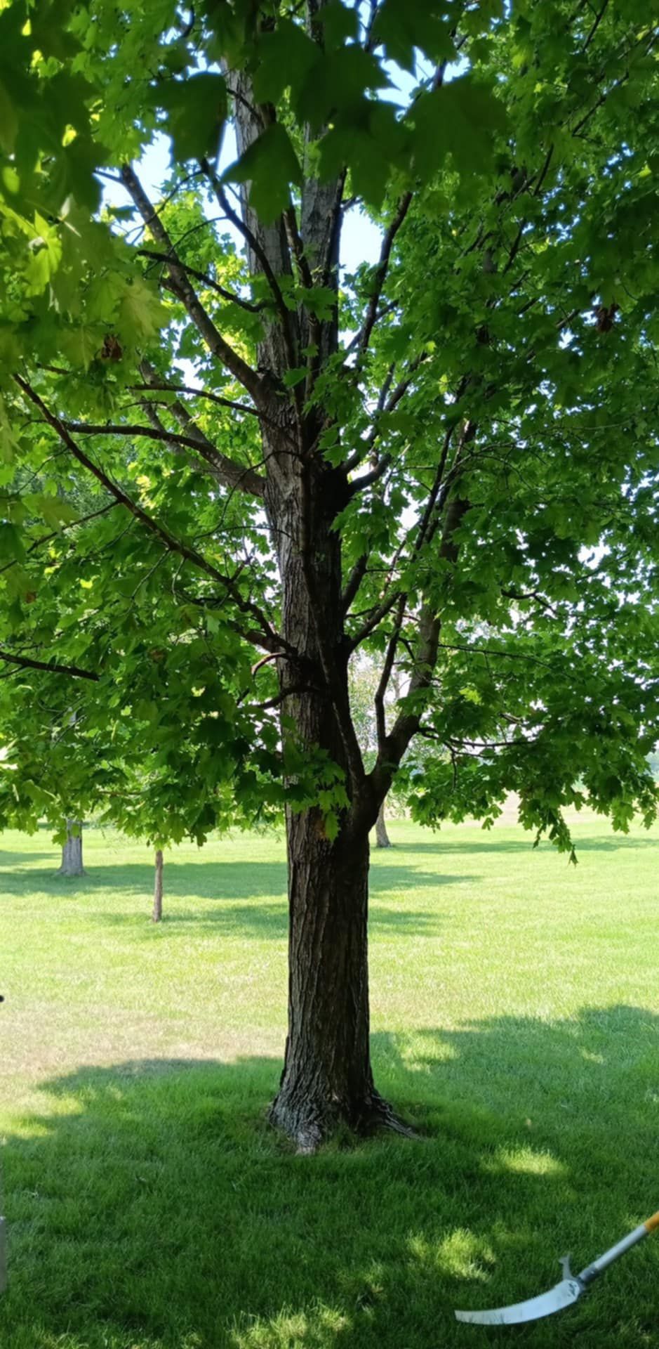  for Lawn Ranger Yard And Tree Service LLC in Ottumwa, IA