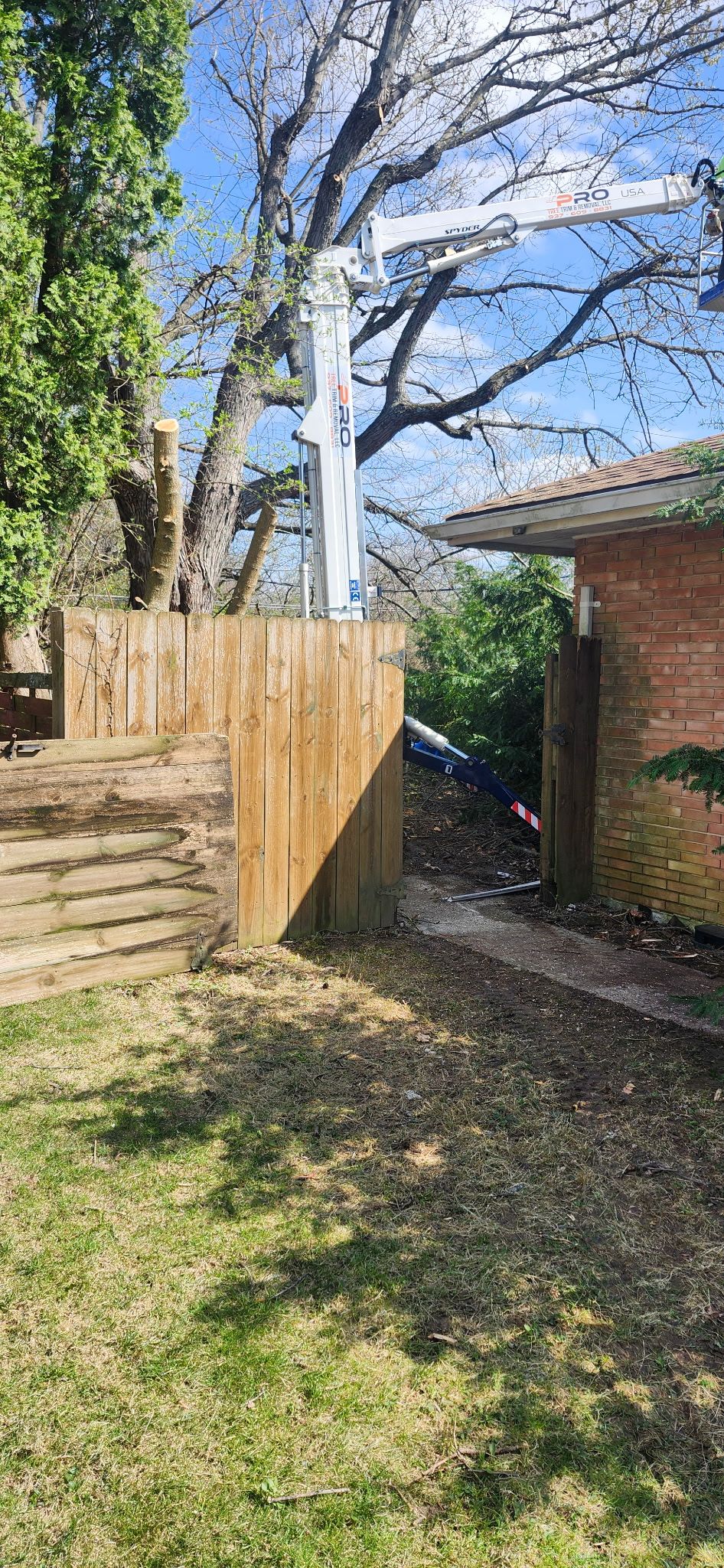 All Photos for Pro Tree Trim & Removal, Llc in Dayton, OH