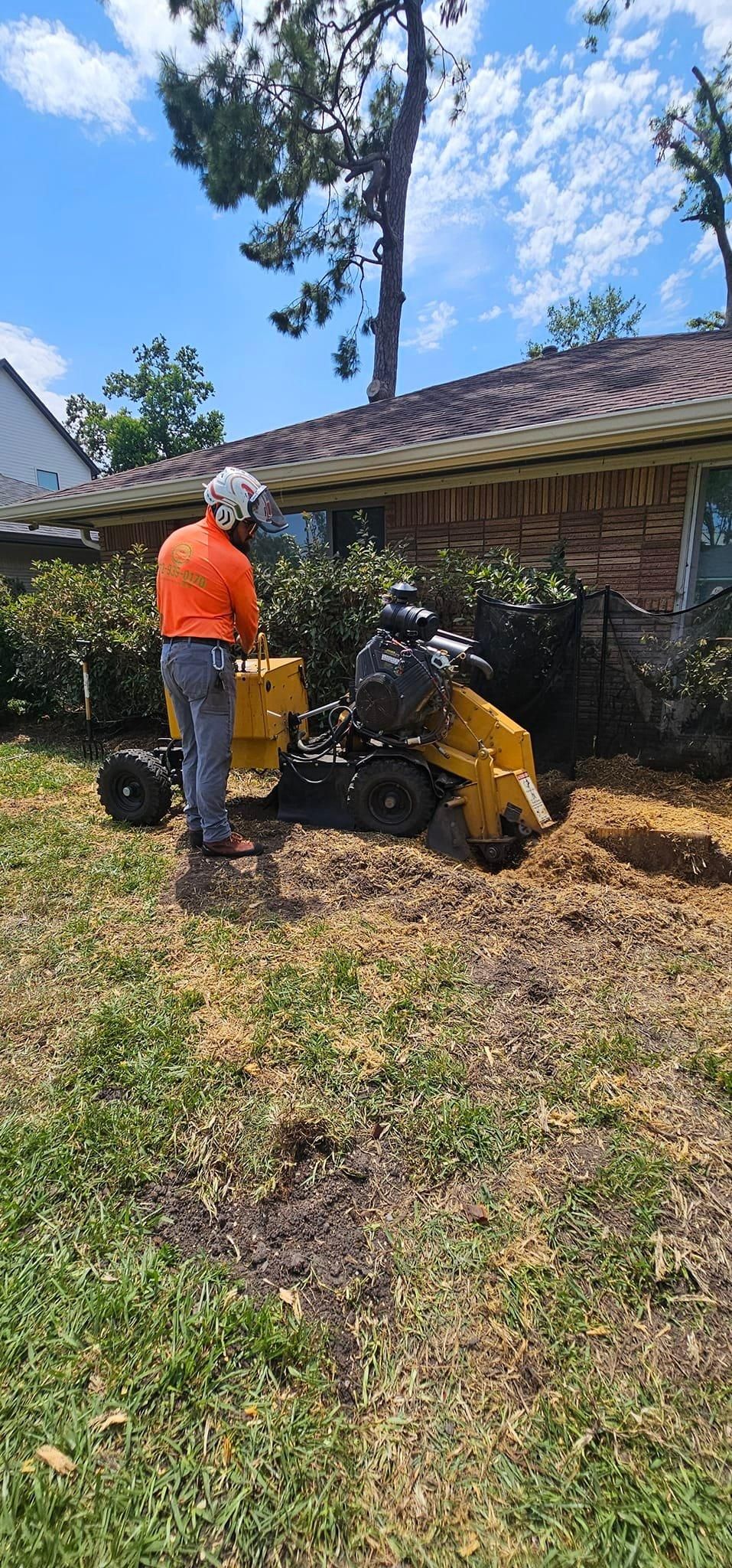  for Servin's Tree Care  in Houston, TX