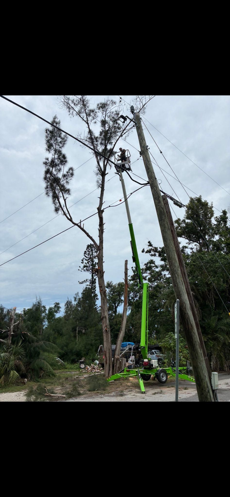  for Nick of Time Tree Service in North Port, FL