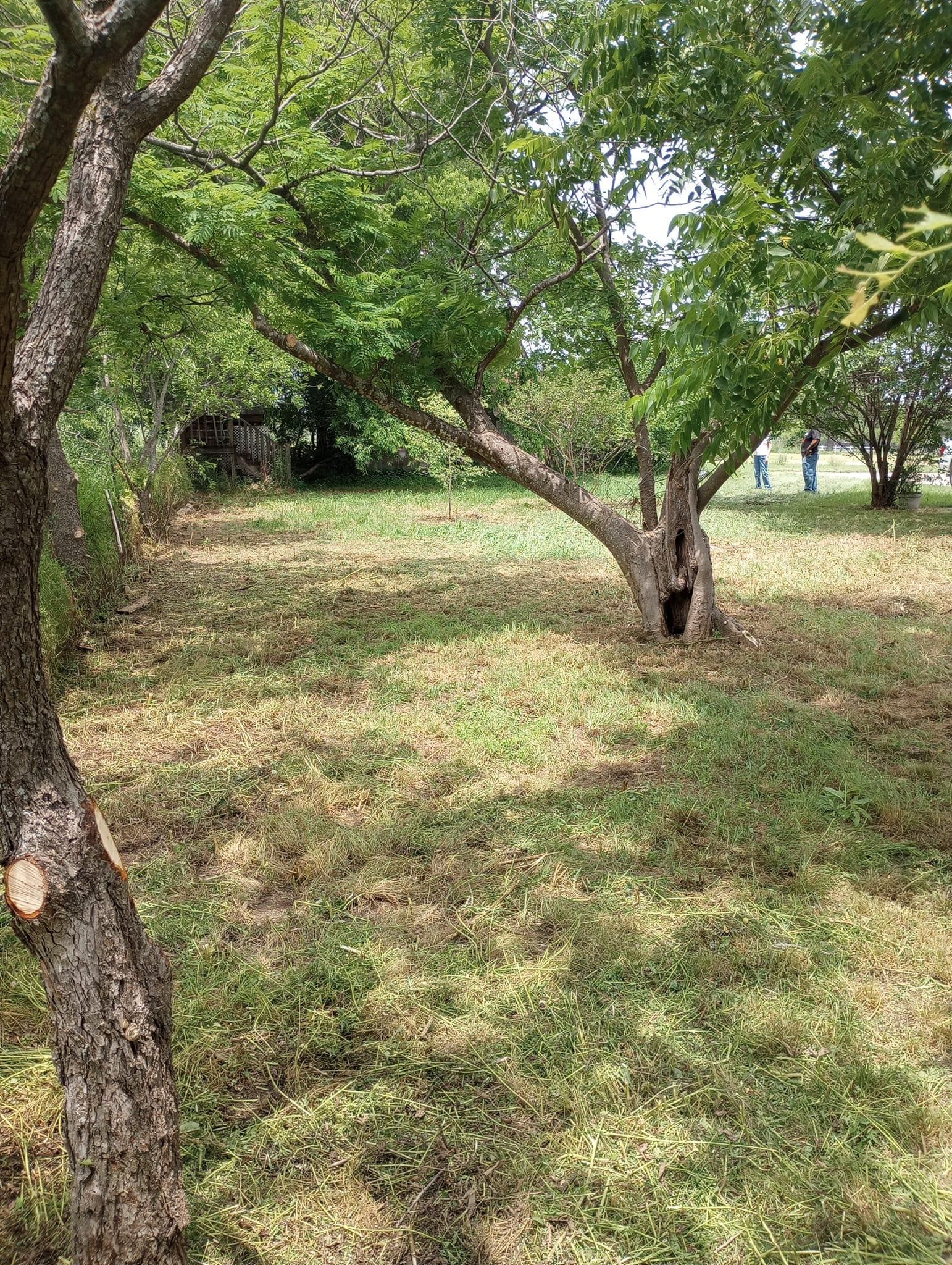 Mowing for Emergency Yard Care LLC in Waxahachie, TX