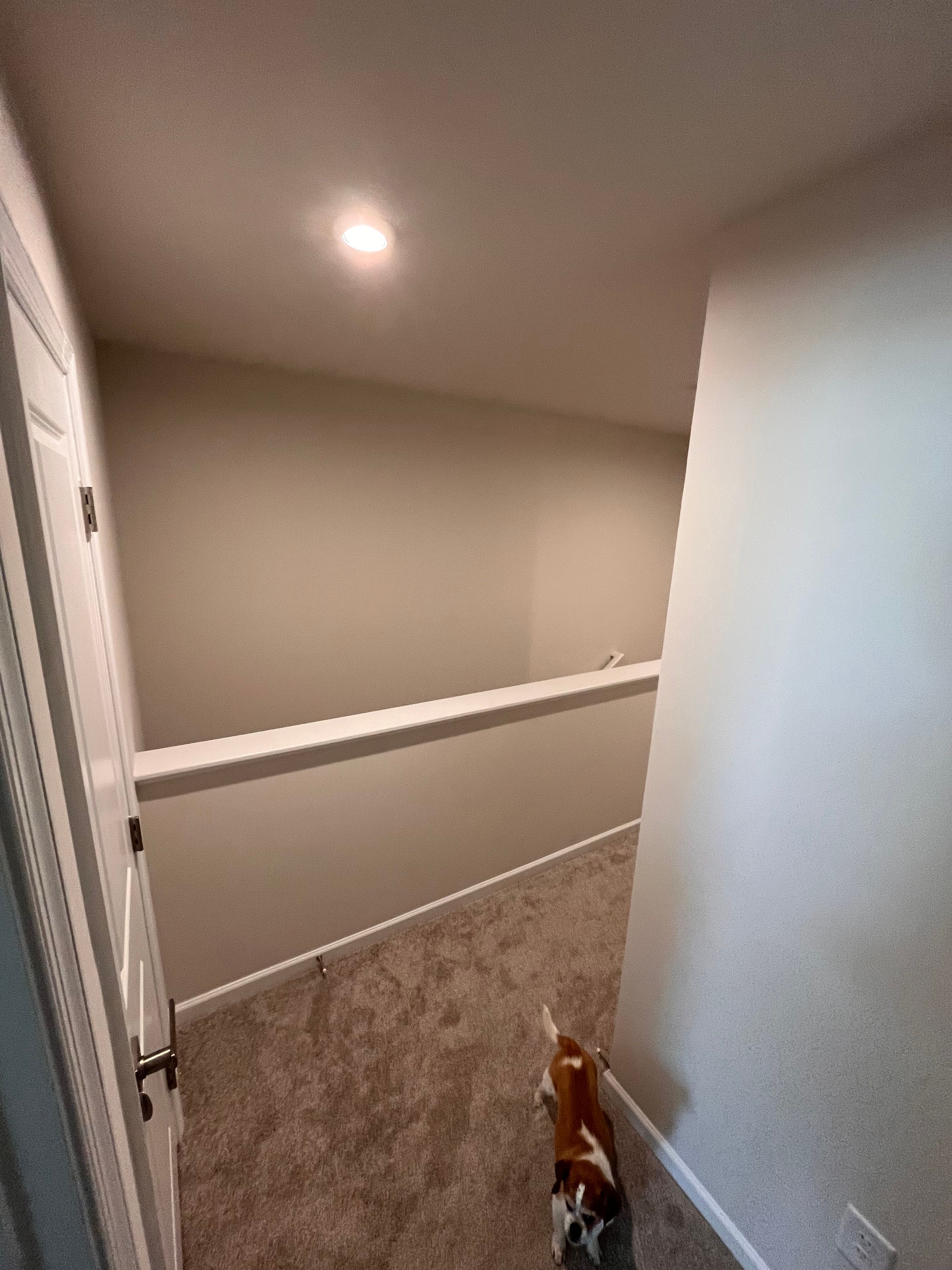 All Photos for Green Wing Home Services in Garden City, SC
