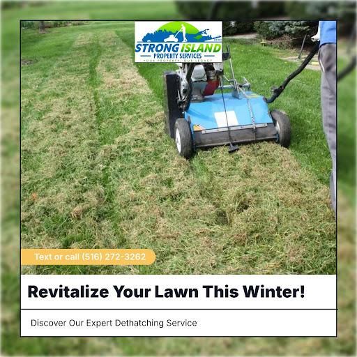  for Strong Island Property Services in West Hempstead, NY