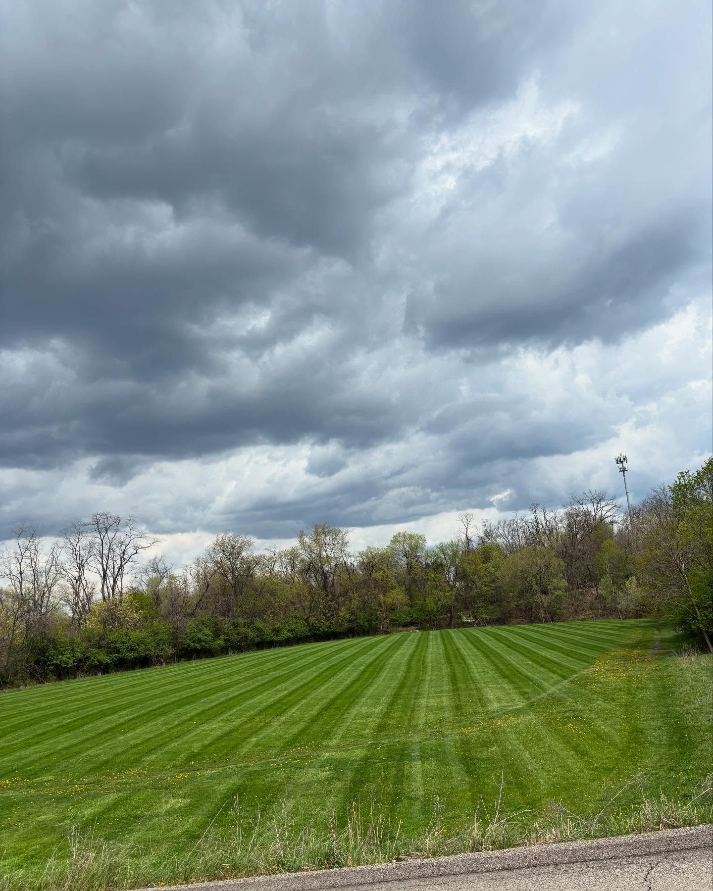  for Mark's Multiple Landscaping in Pittsburgh, PA