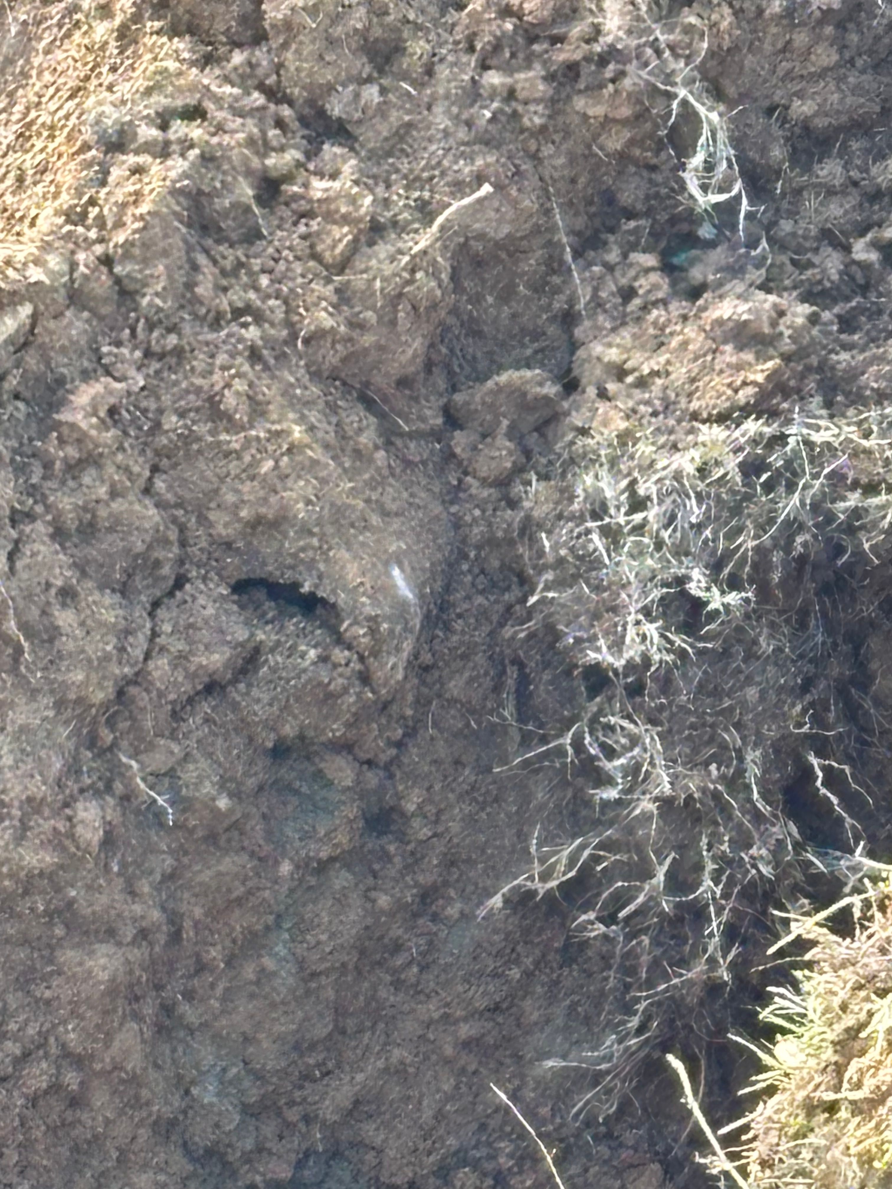  for Avanzi Plumbing in Millington, TN