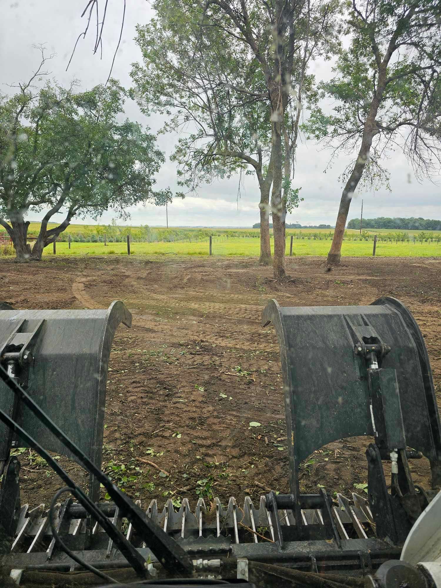  for Tree Tech in Luverne, MN