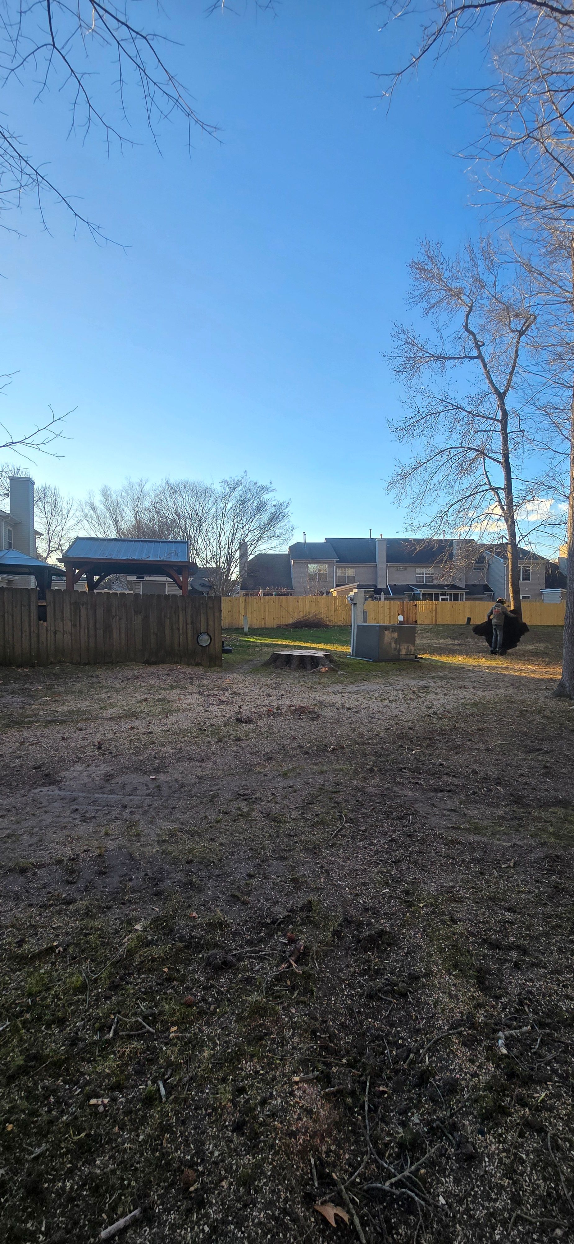  for Beach Tree Care in Virginia Beach, VA