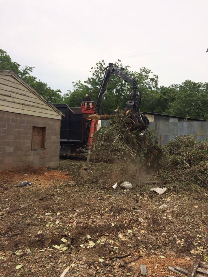  for Classic cut tree trimming and removal in Arlington, TX