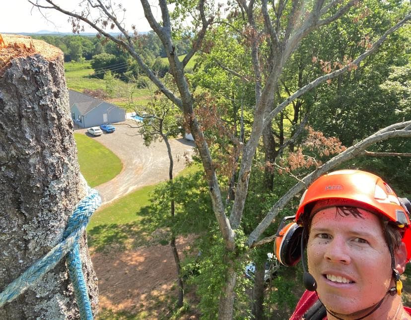 Tree Removal for Pinedown LLC in Cherokee County, GA