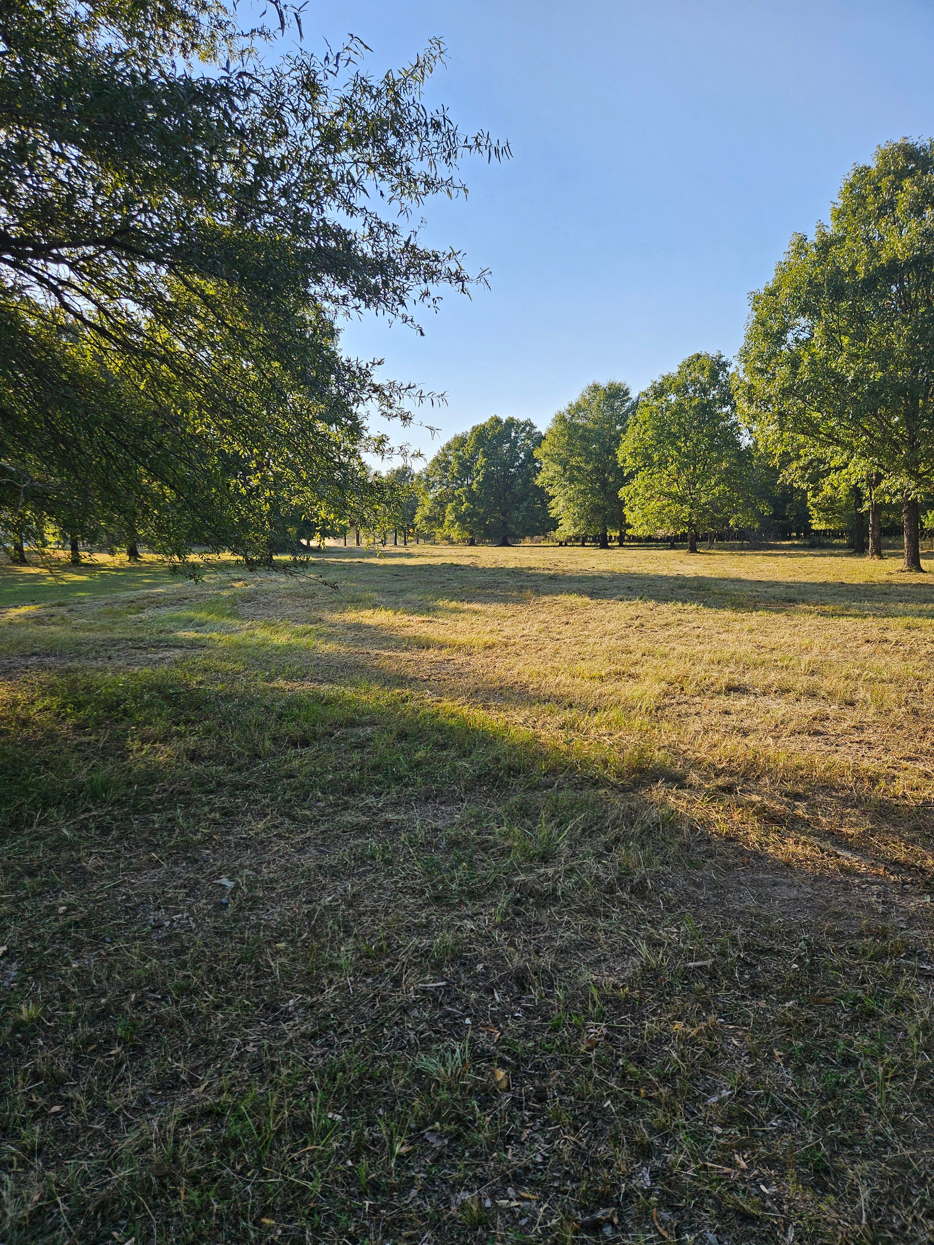  for Daniel's Dumpsters & Land Improvements in Monroe, LA