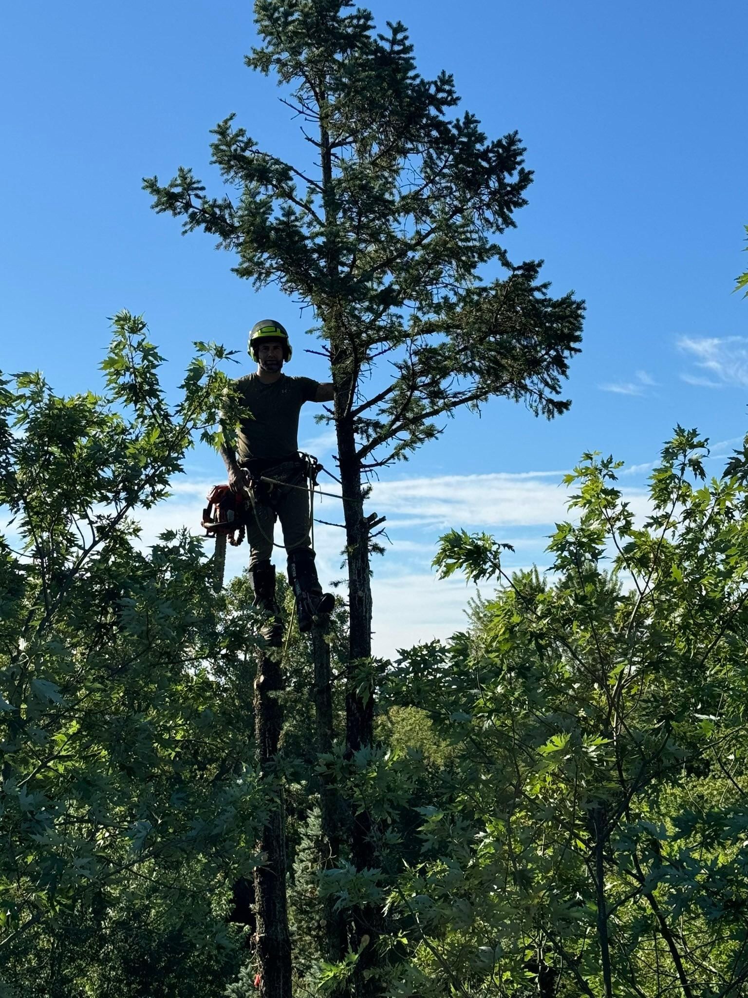 for The Bucking Arborists in Flint, MI