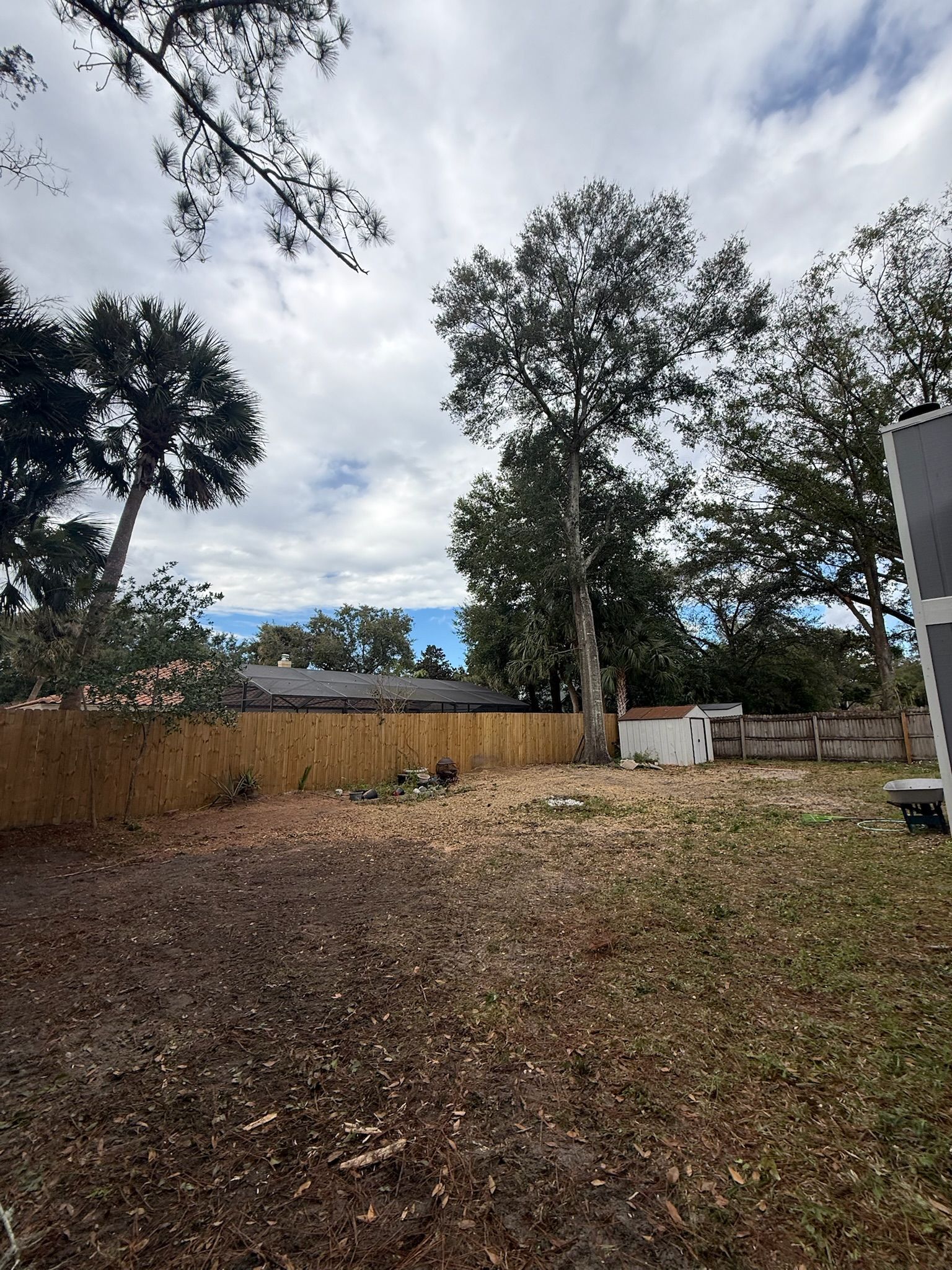  for Amerigrown Tree And Lawn in Apopka, FL