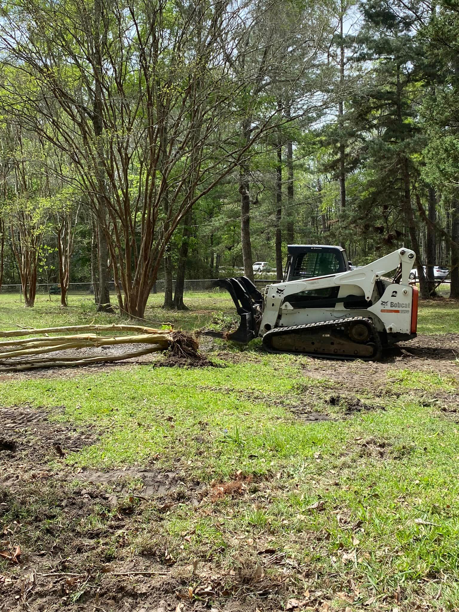 All Photos for Dampier Screening in Bonifay, FL