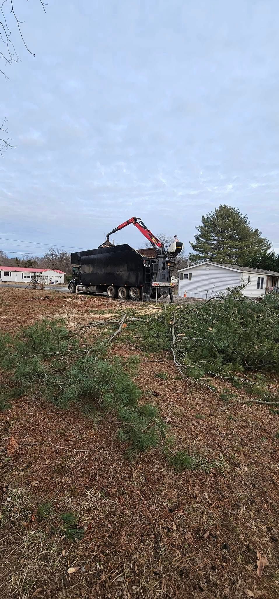  for Reagan & Sons Tree Service in Dandridge, TN