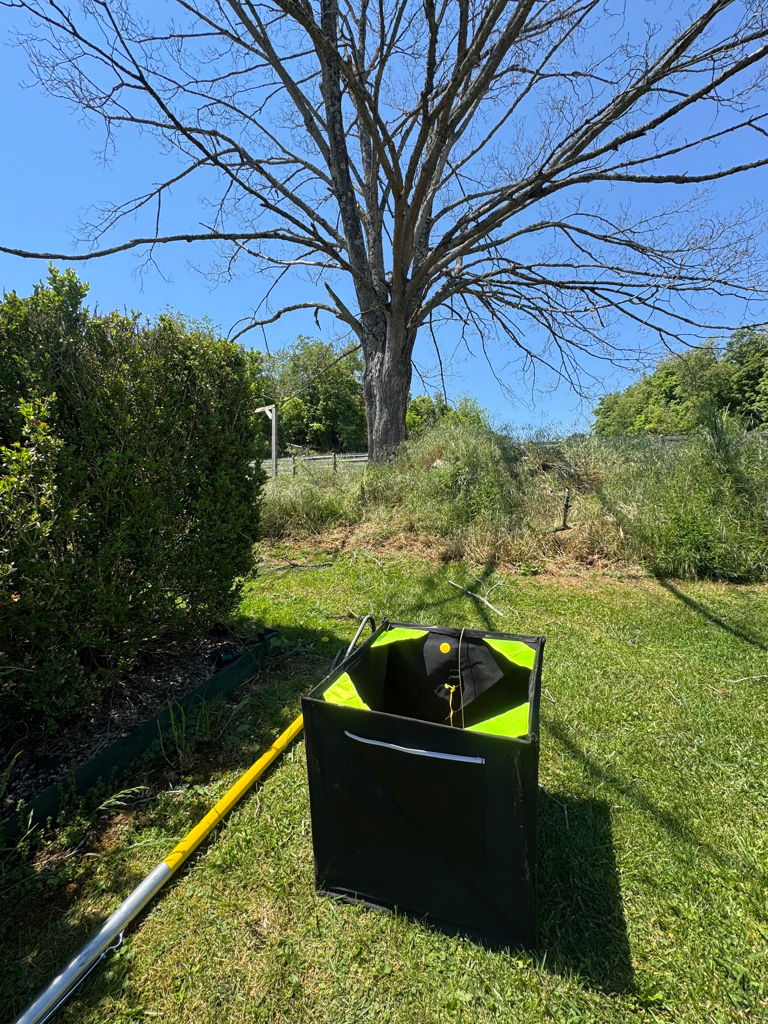 All Photos for Precision Cutz Tree Services, LLC in Coeburn, VA