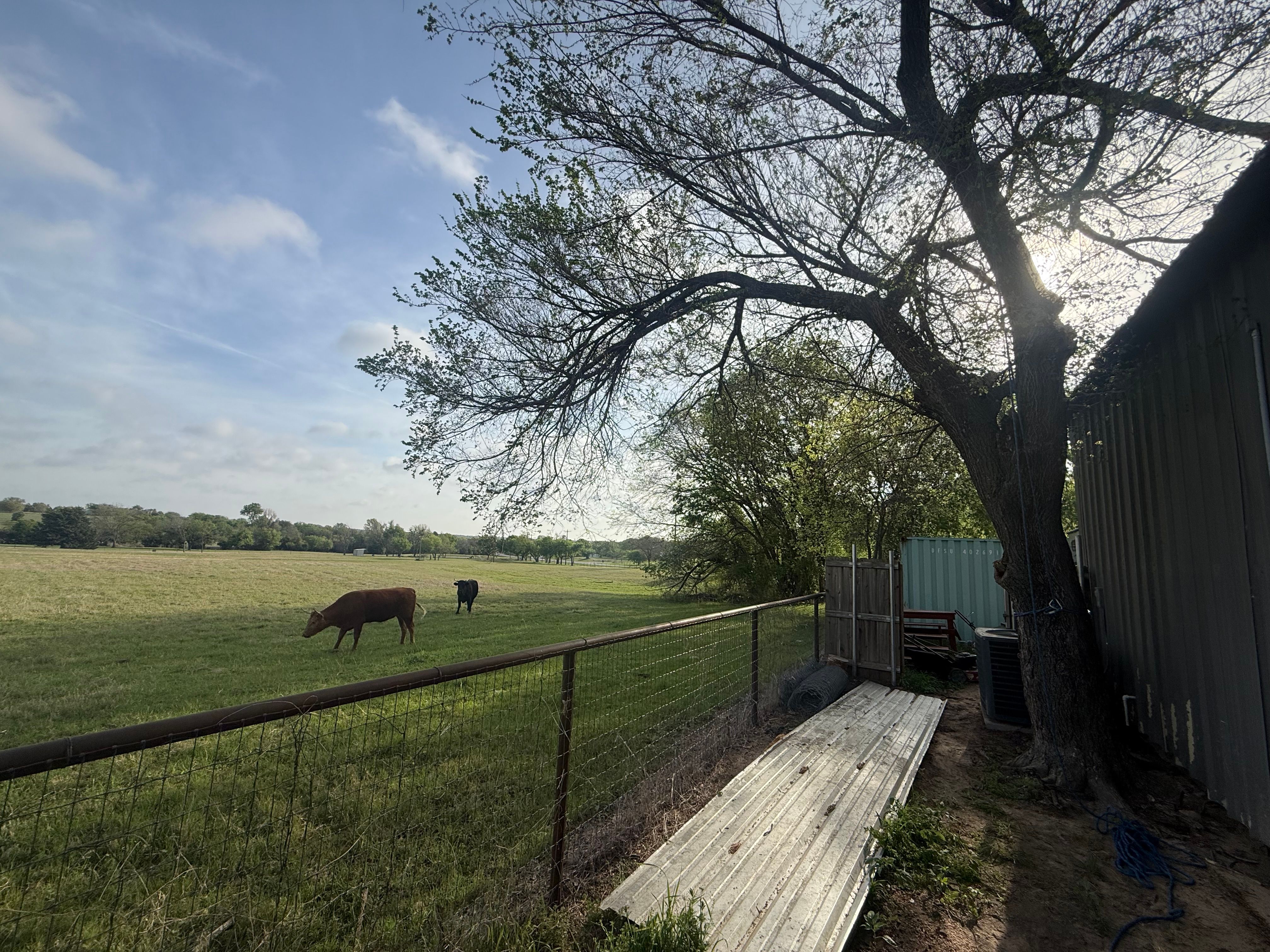 Tree Removal for Blu-J Tree Care in Arlington, TX
