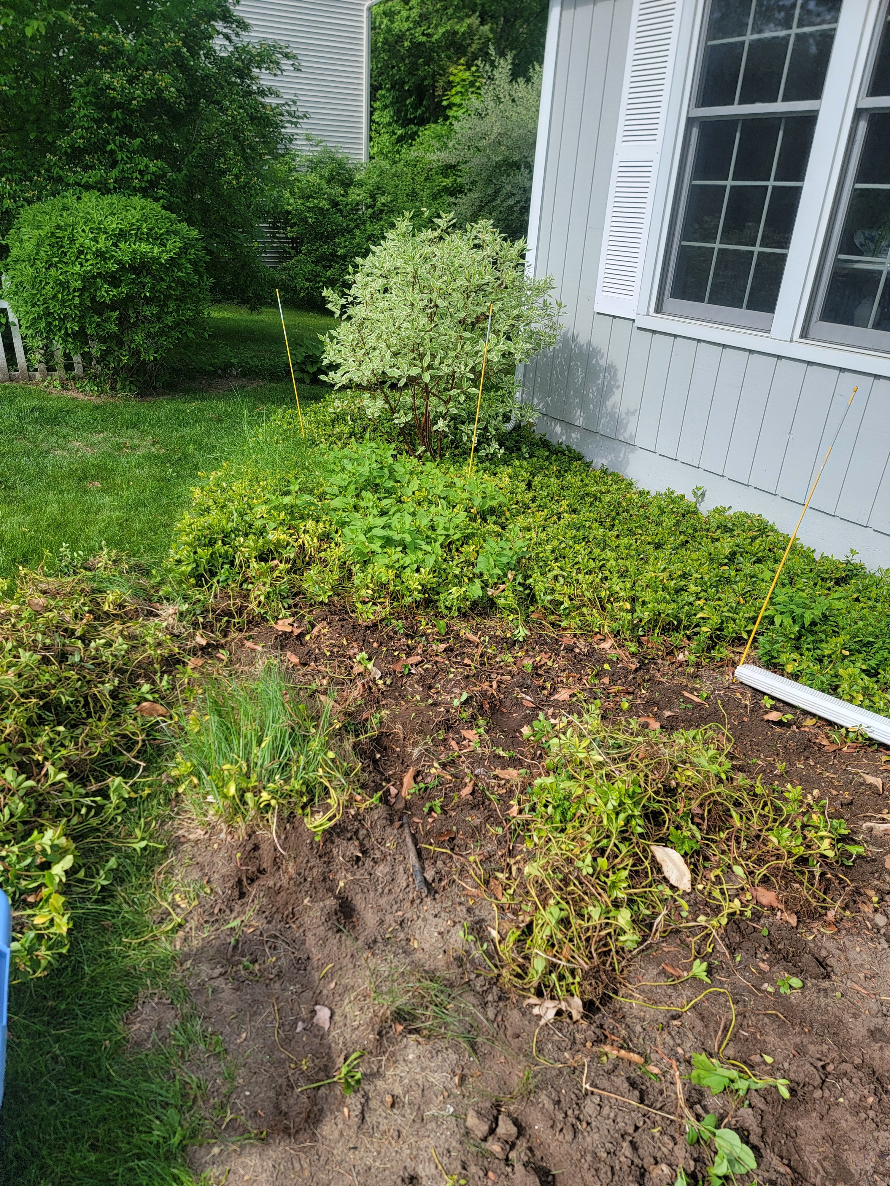  for Sweet Scapes in Ballston Spa, NY
