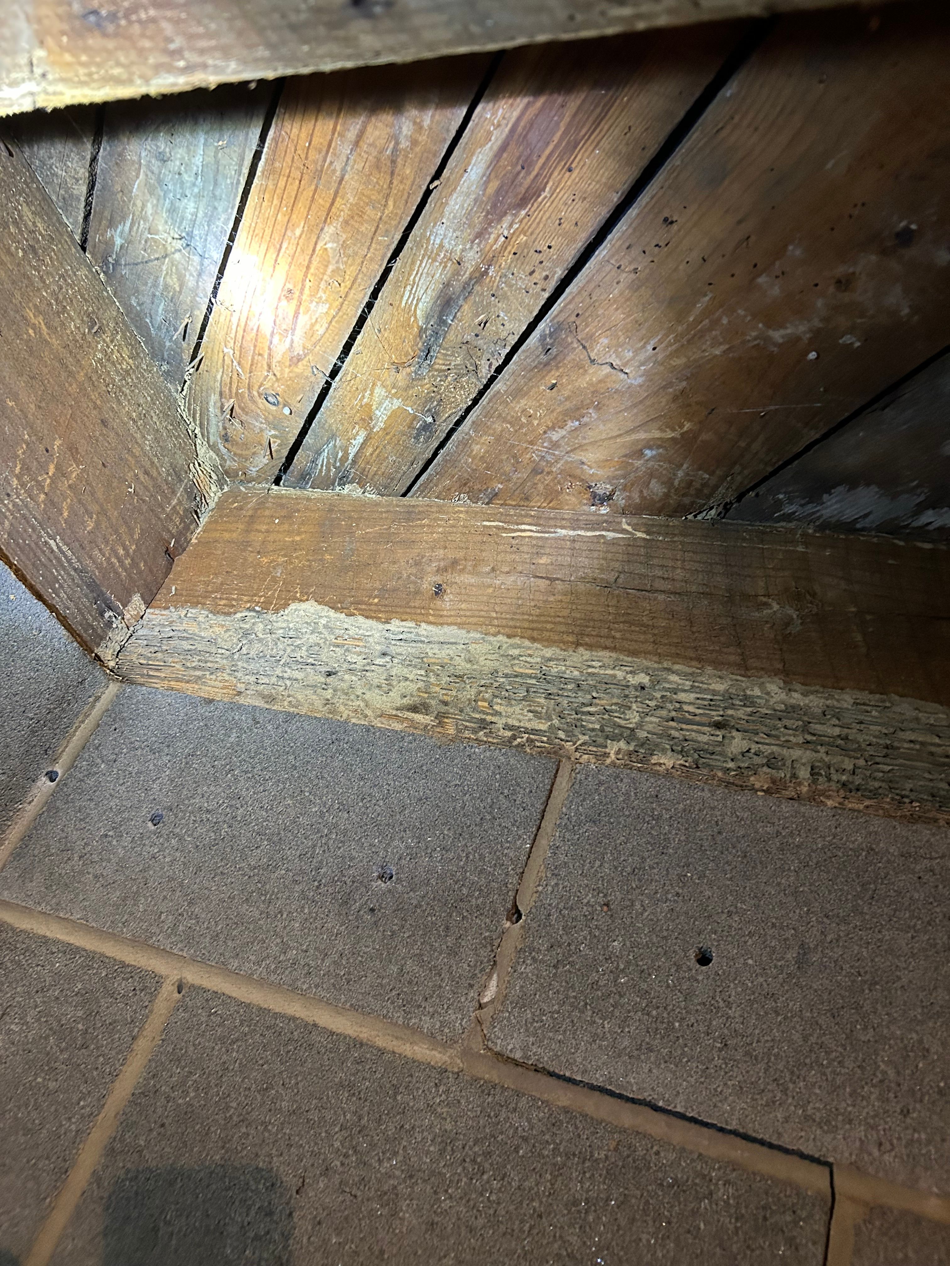  for Winecoff Pest Control in Salisbury, NC