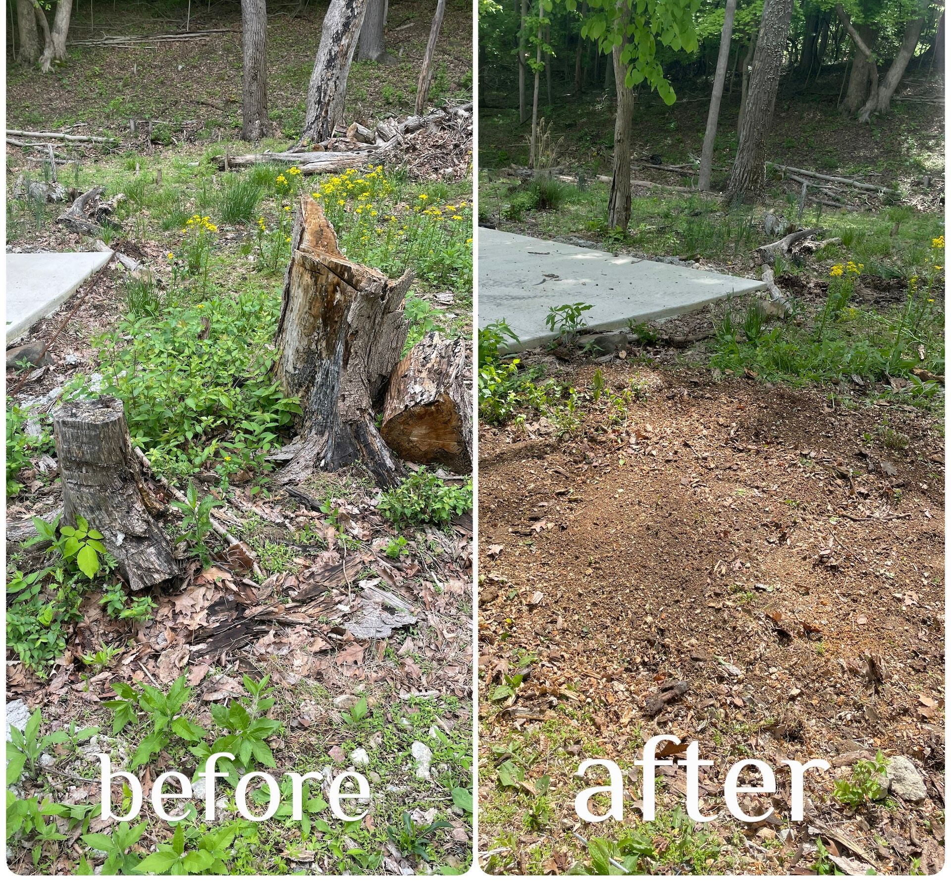  for H&H Stump Grinding in Chillicothe, OH
