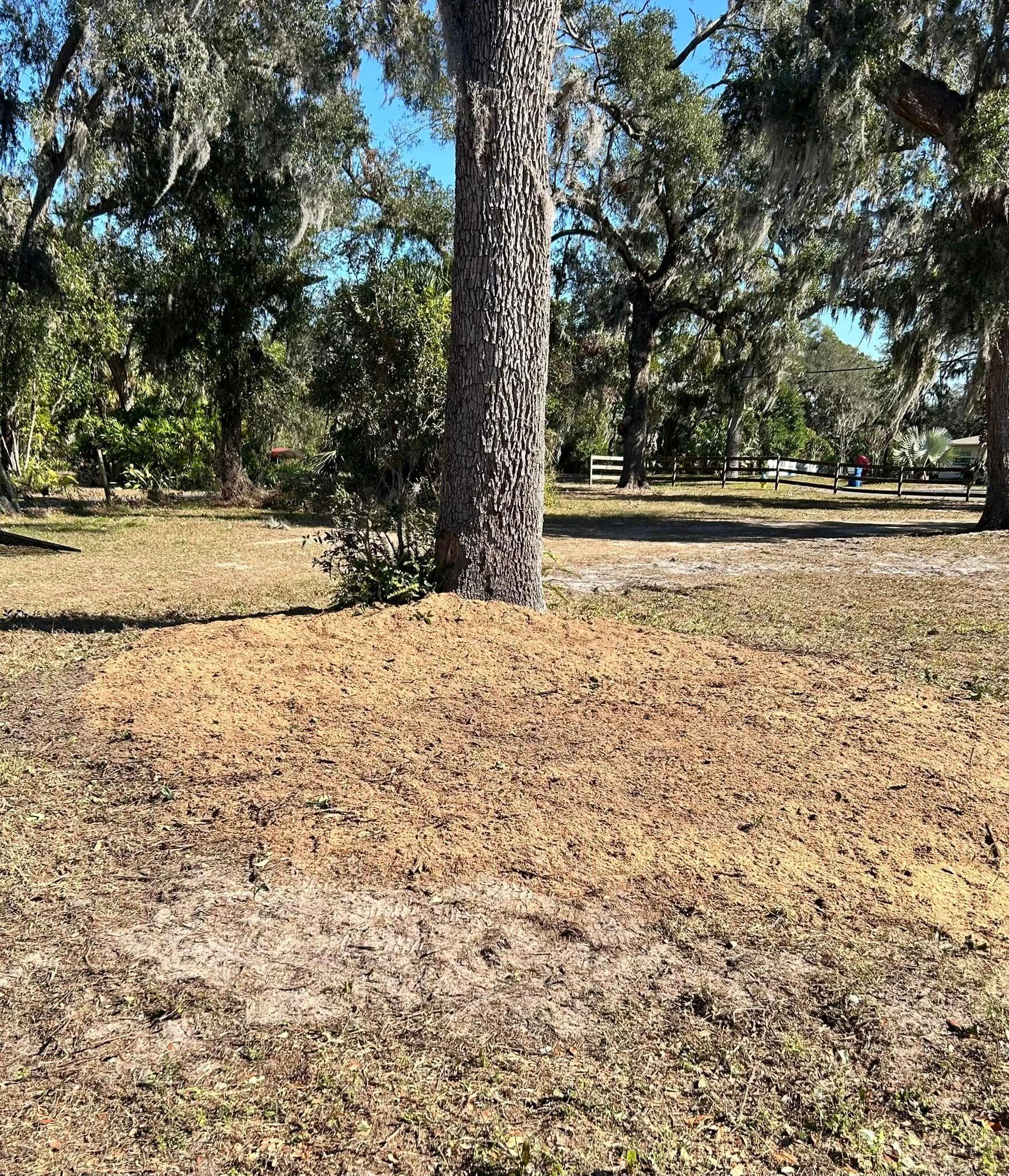  for Greene Acres Stump Grinding in Plant City, FL