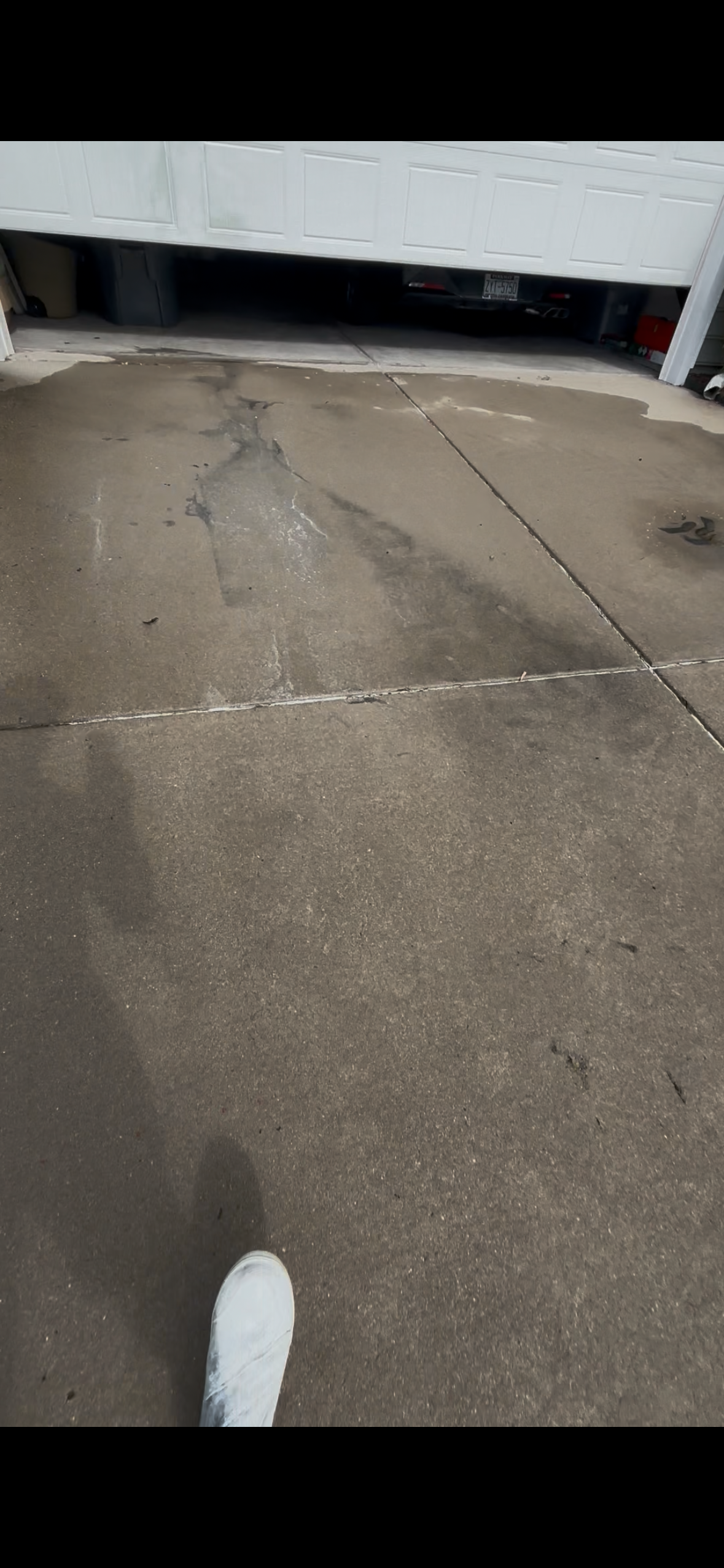  for Living Stream Pressure Washing in Wilmington, NC