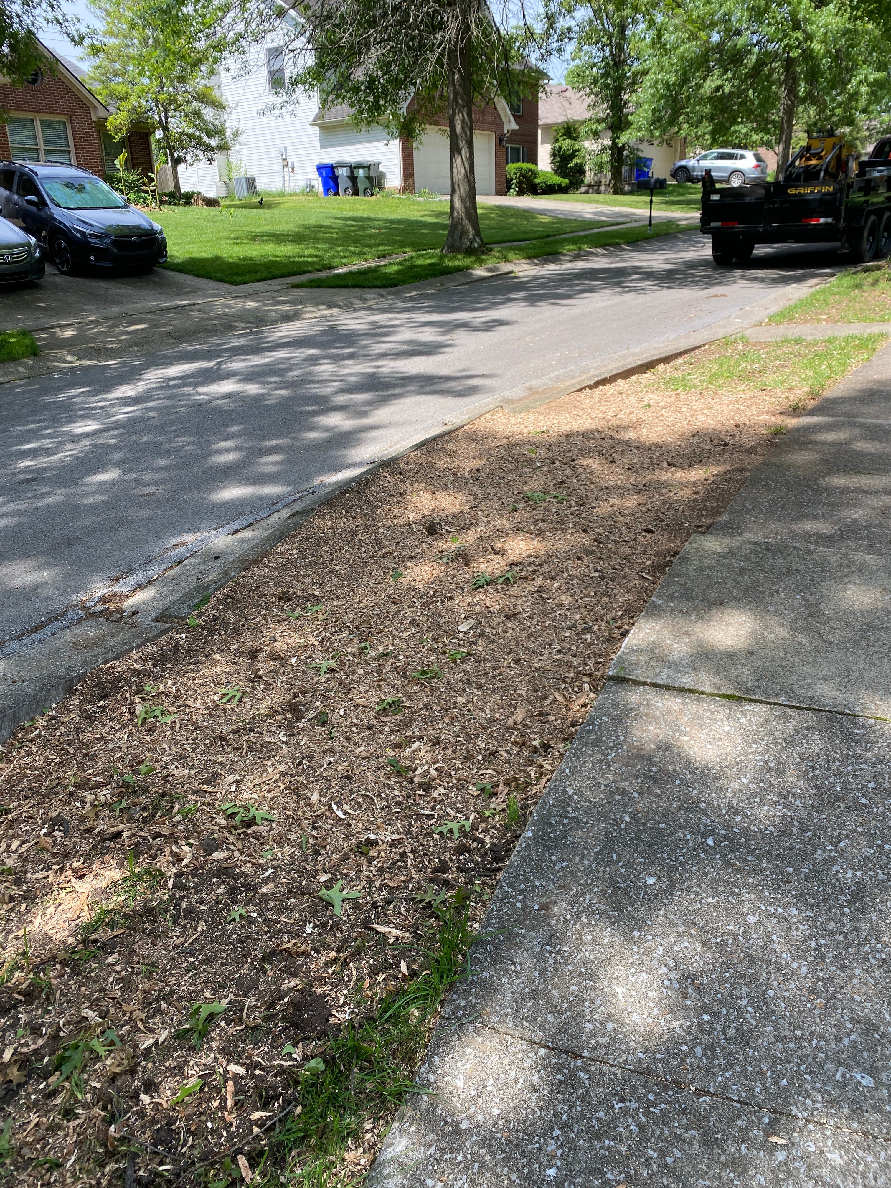 All Photos for Houtz Tree Service in Lexington, KY