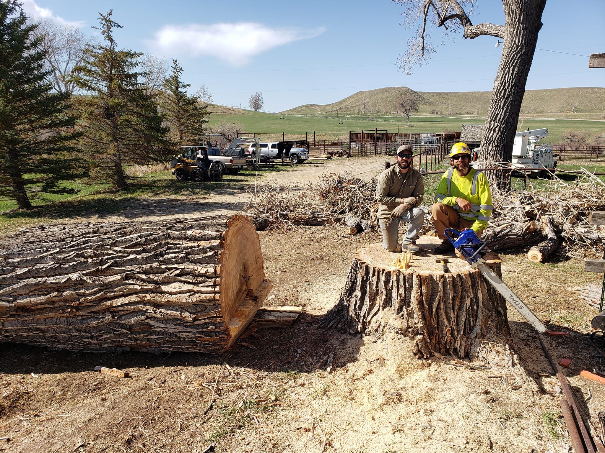  for Two Fellers Tree Service in Buffalo, WY