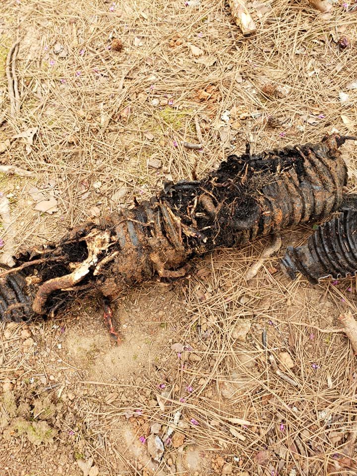  for LGN Plumbing and Septic in Cartersville, GA