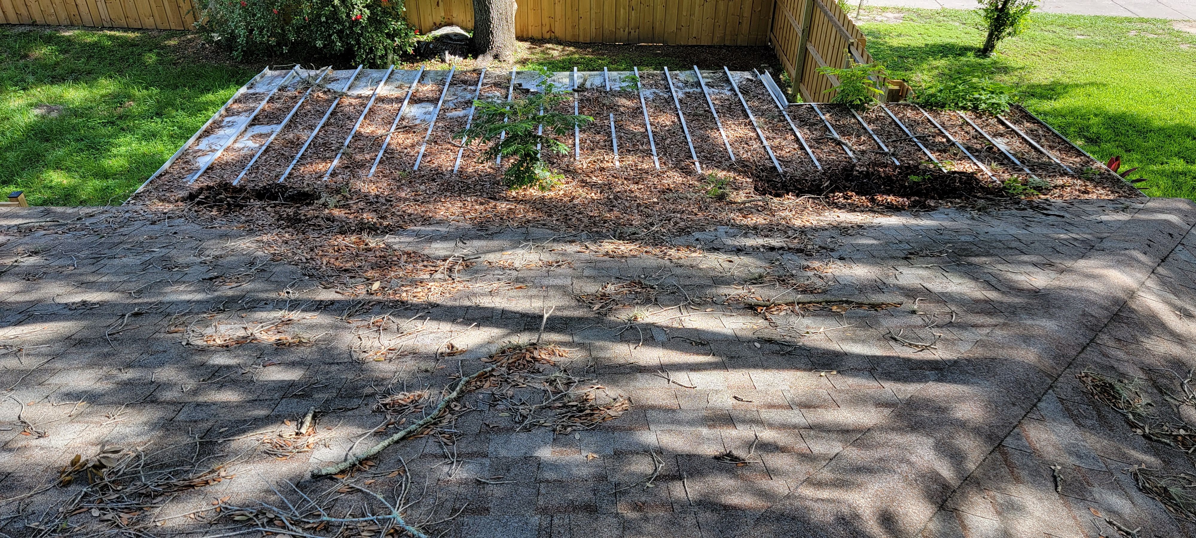  for Blue Stream Roof Cleaning & Pressure Washing in Tampa, FL