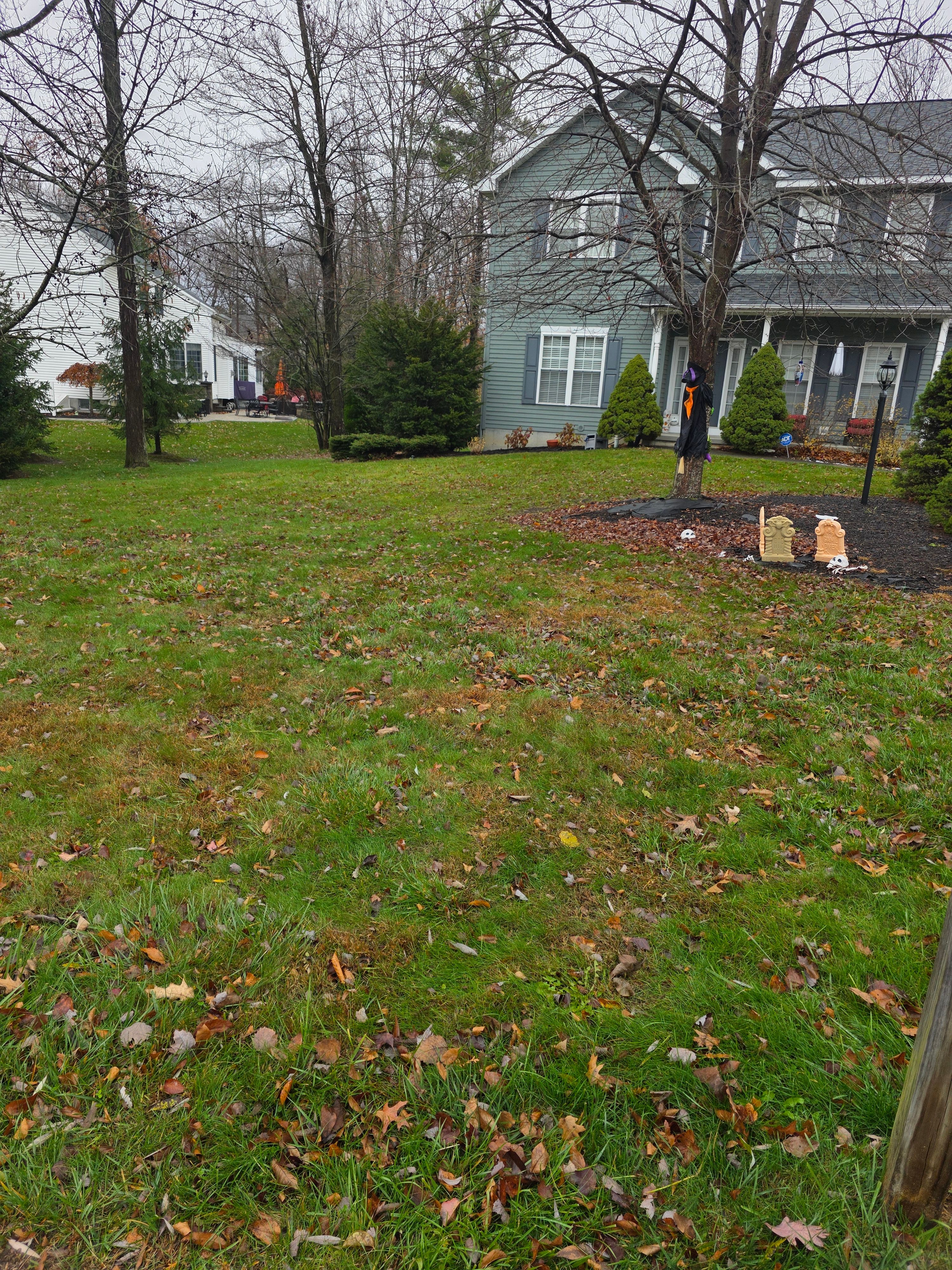  for Sweet Scapes in Ballston Spa, NY