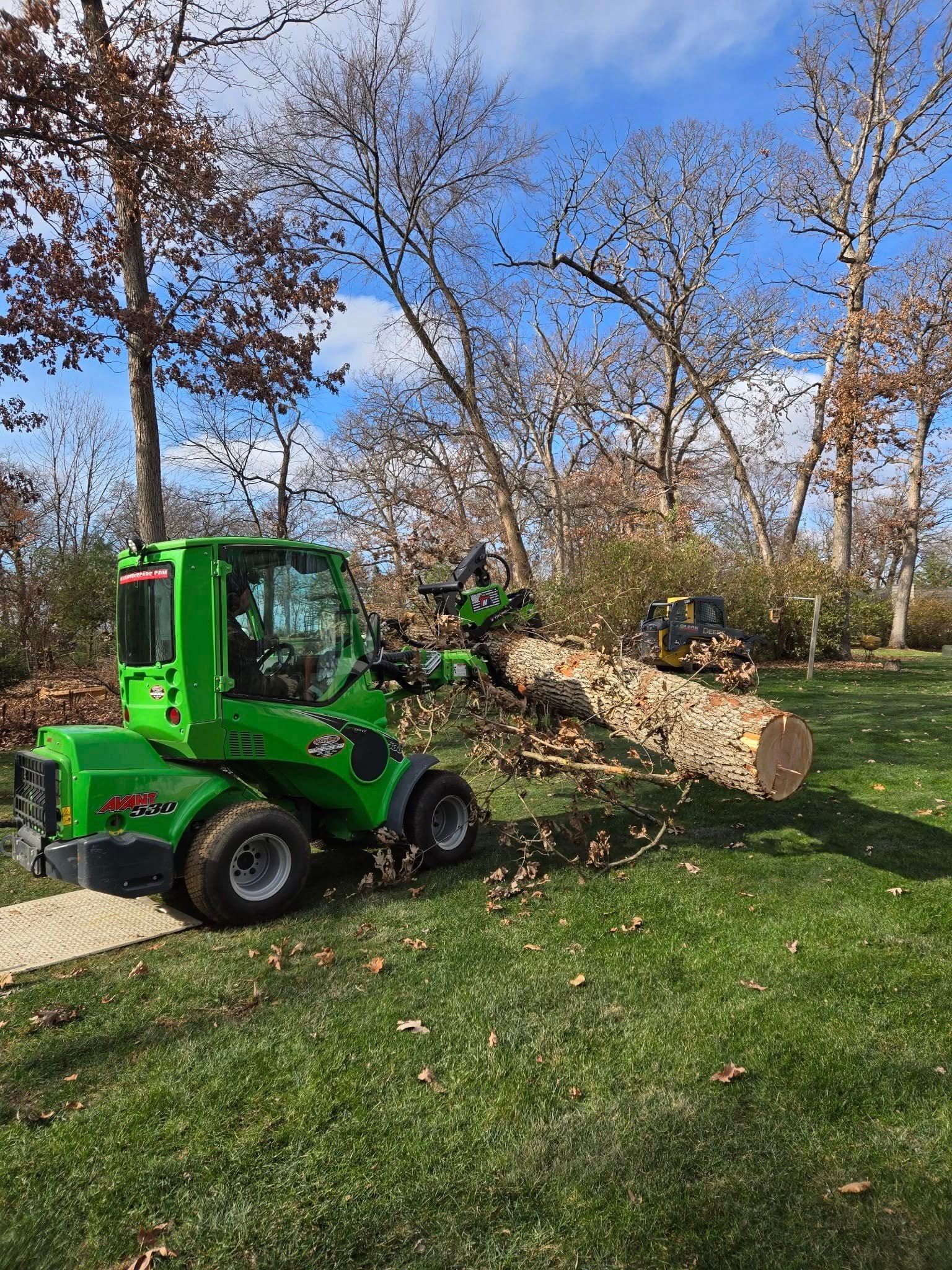 Tree Removal for Olson Tree Service, Inc in Winnebago County, IL