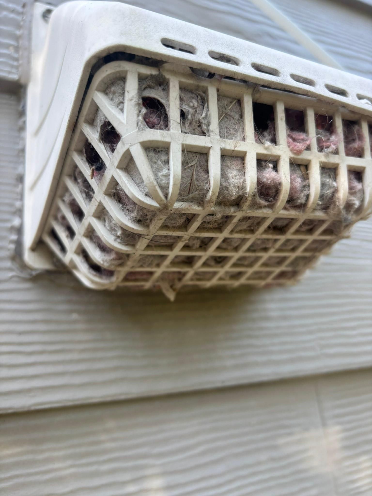 for Living Stream Pressure Washing in Wilmington, NC