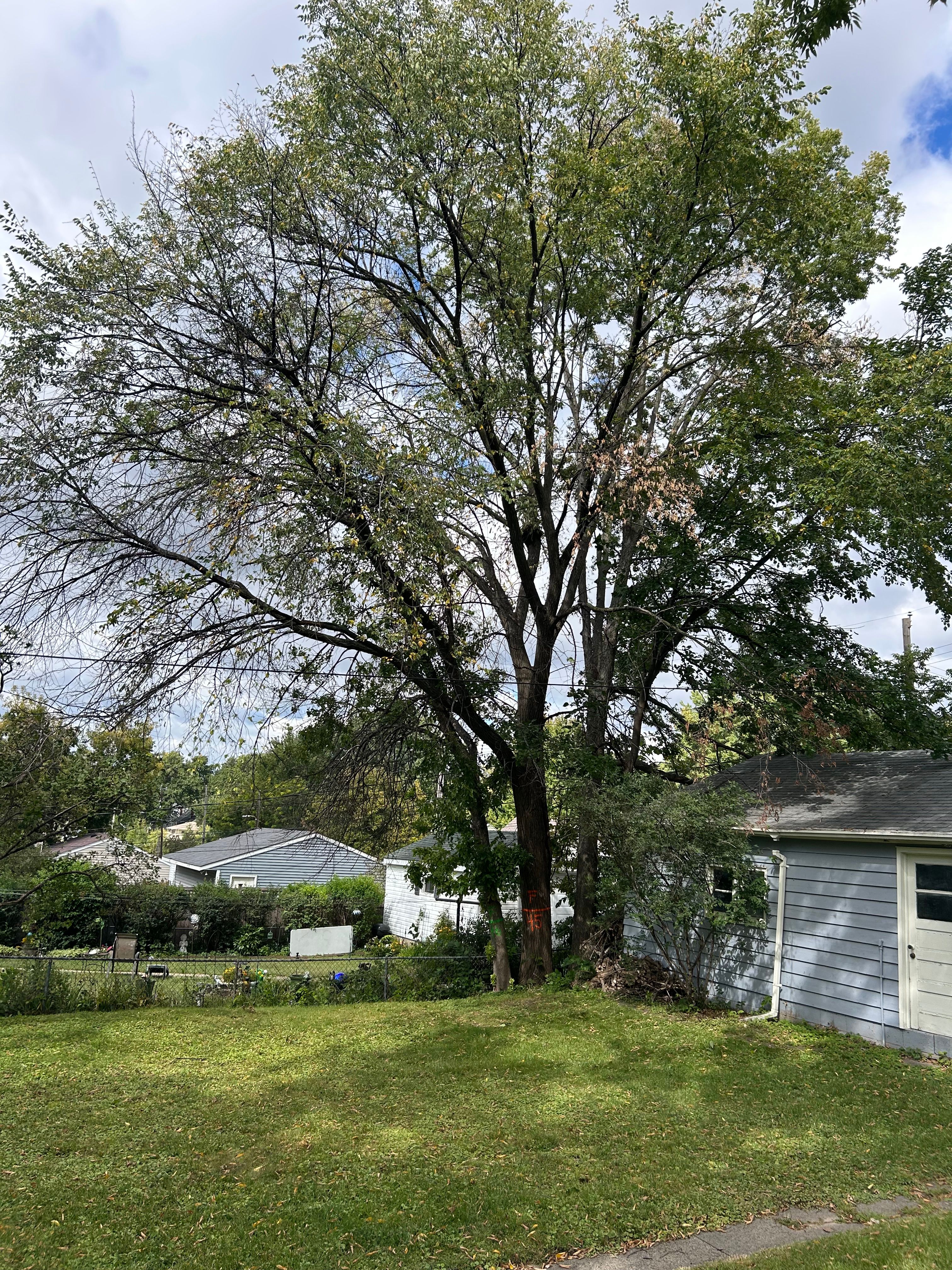 All Photos for Allstate Tree Service and Crane in Minneapolis, MN