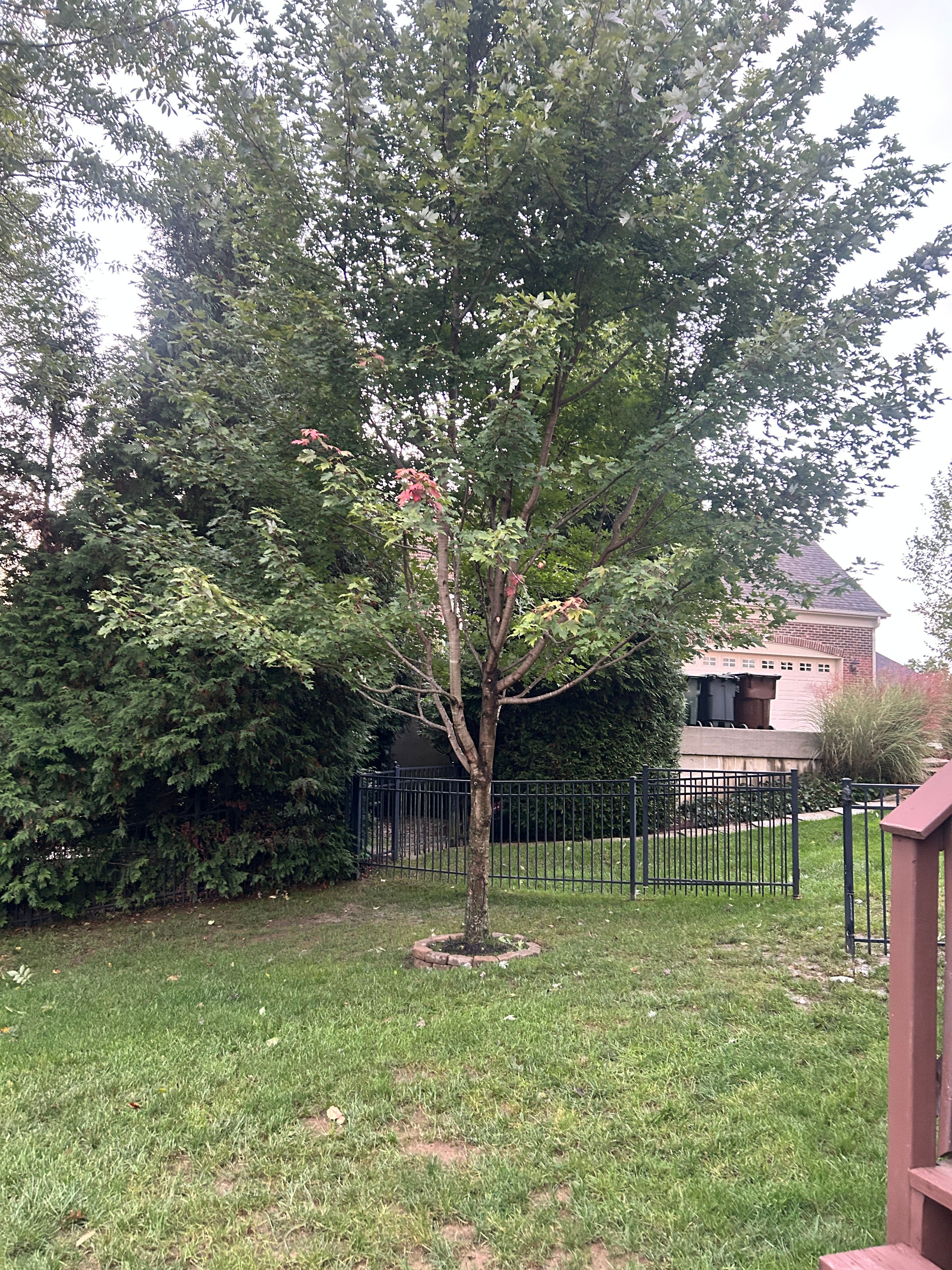  for Terra Steel Creations in Independence, KY