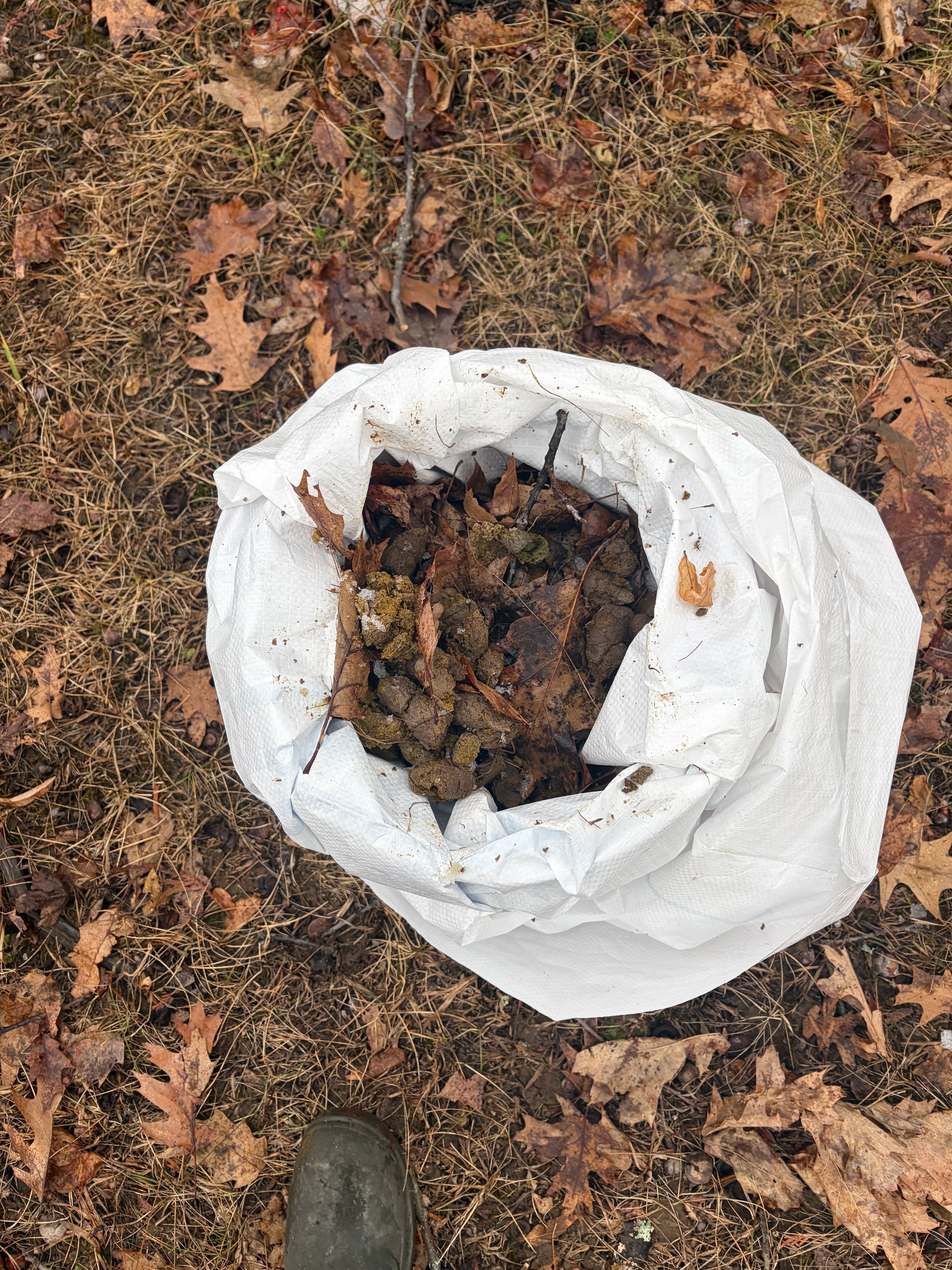  for Poop Pals NH in Gilford, NH