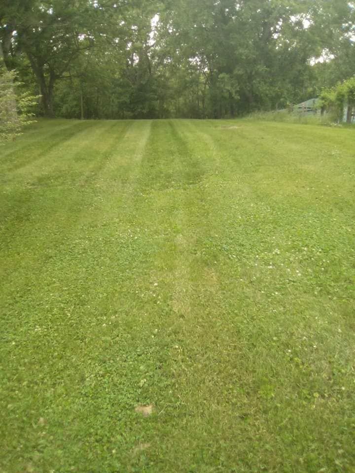 Lawn Care for Mark's Lawn Care in Mount Pleasant, TN