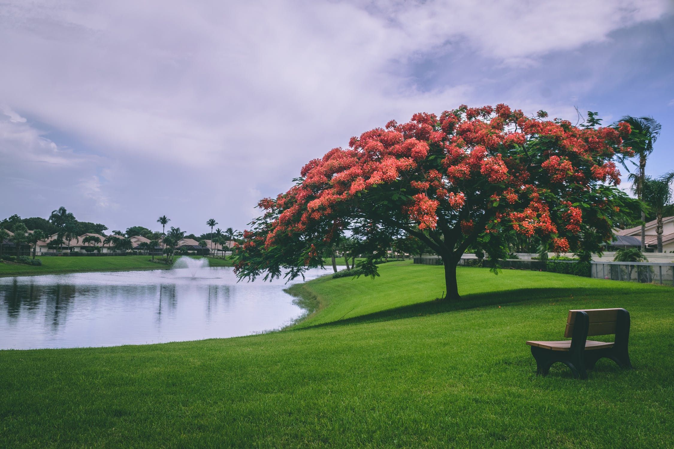  for TopNotch Landscaping Services  in The Villages, FL