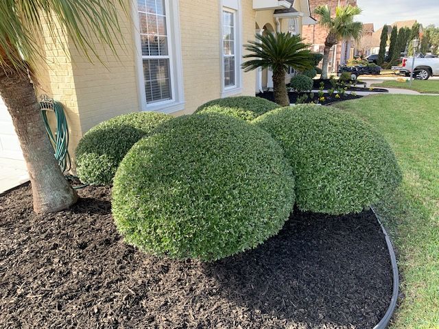  for Jay C’s Touch Landscaping & Pressure Washing Services LLC in Marrero, LA