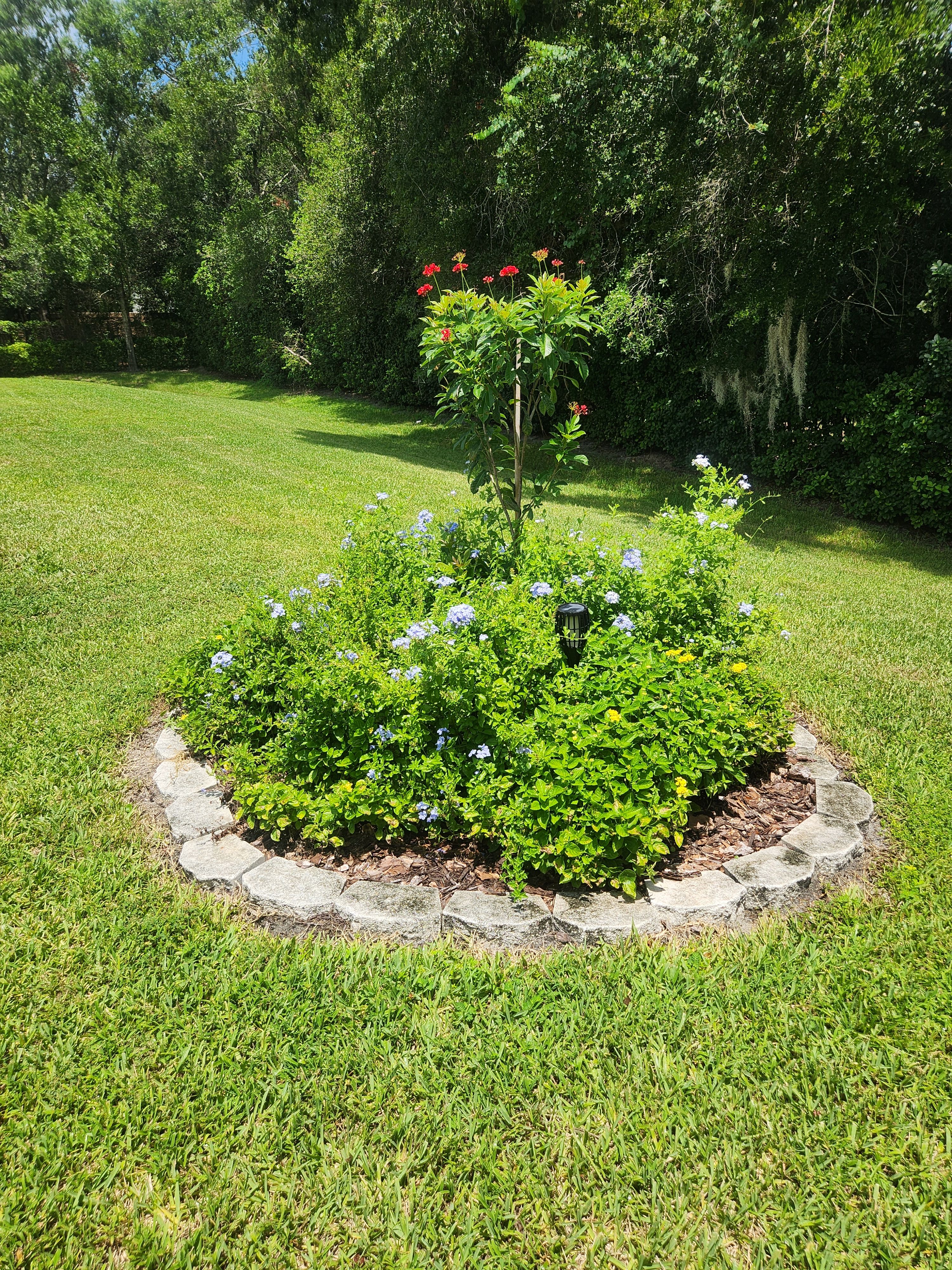  for Nate the Garden Guru in Orlando, FL