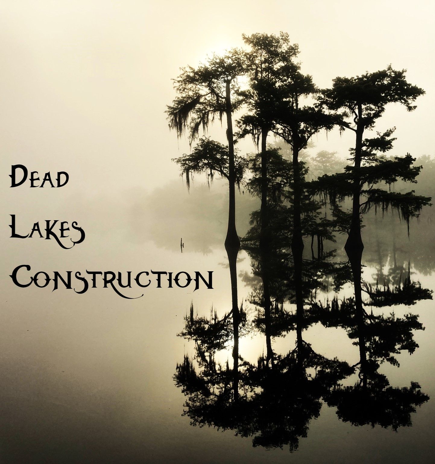 All Photos for Dead Lakes Construction LLC in Gulf County, FL