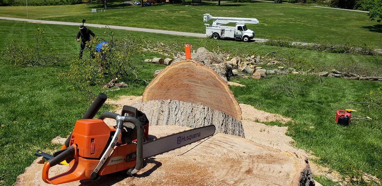  for Reagan & Sons Tree Service in Dandridge, TN