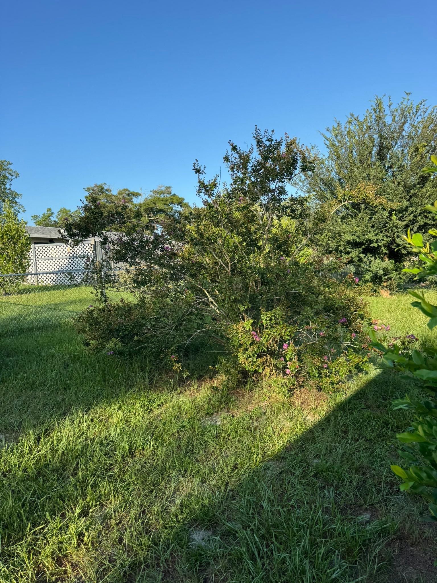 All Photos for Young's Lawn Services LLC in Ocala, FL