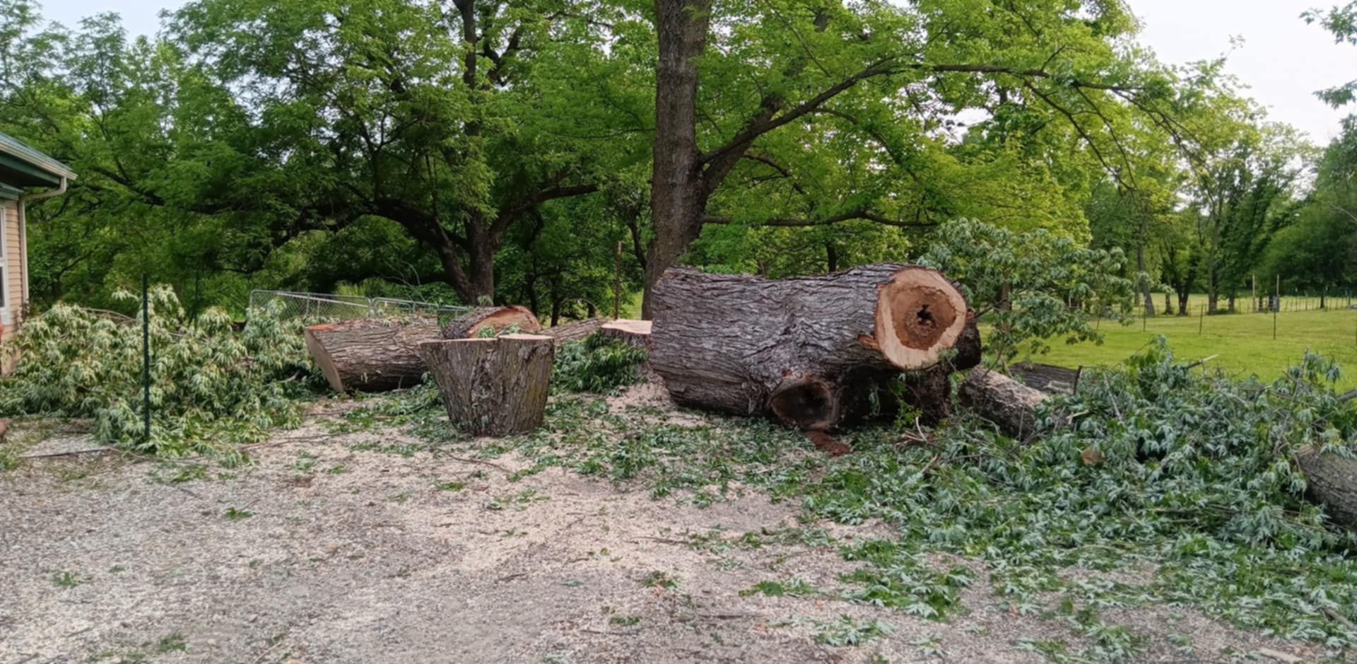  for Lawn Ranger Yard And Tree Service LLC in Ottumwa, IA